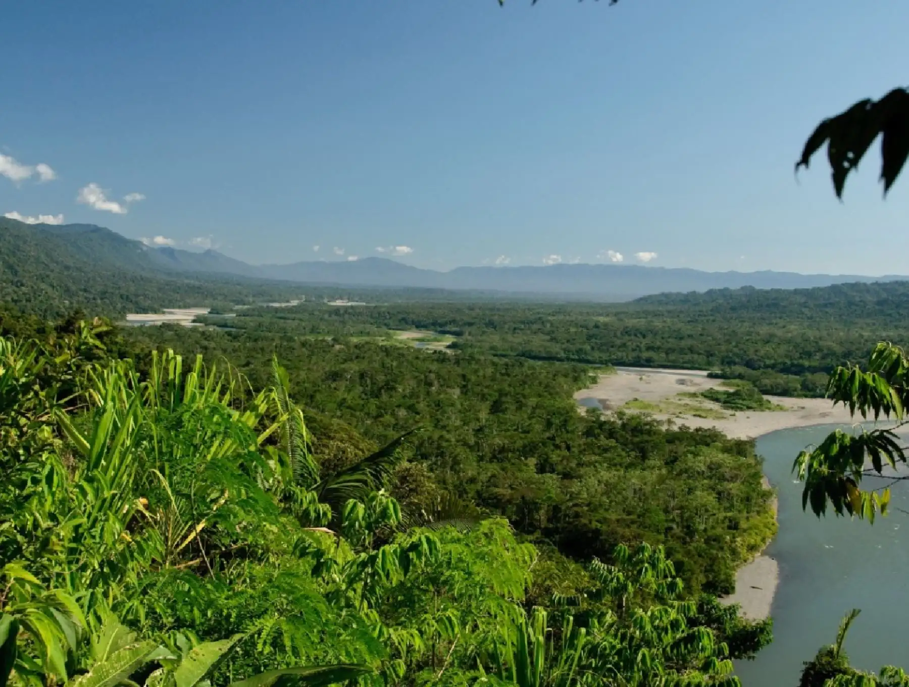 Parque Nacional del Manu. ANDINA/Difusión