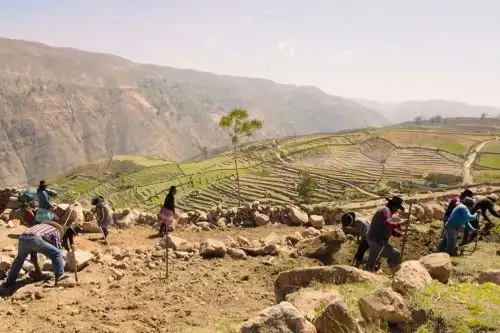 Escena del documental 