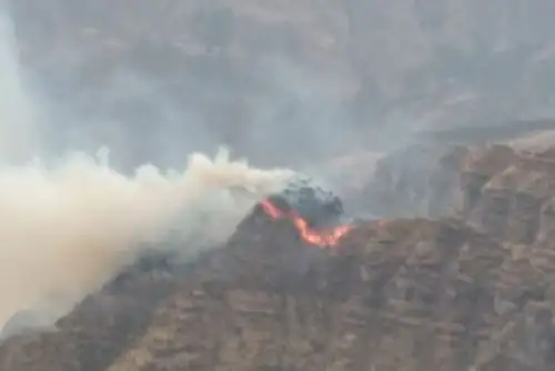 Bomberos, policías y miembros del Ejército del Perú luchan por controlar el incendio forestal iniciado el 20 de noviembre en Acos, región Cusco. Foto: ANDINA/Difusión