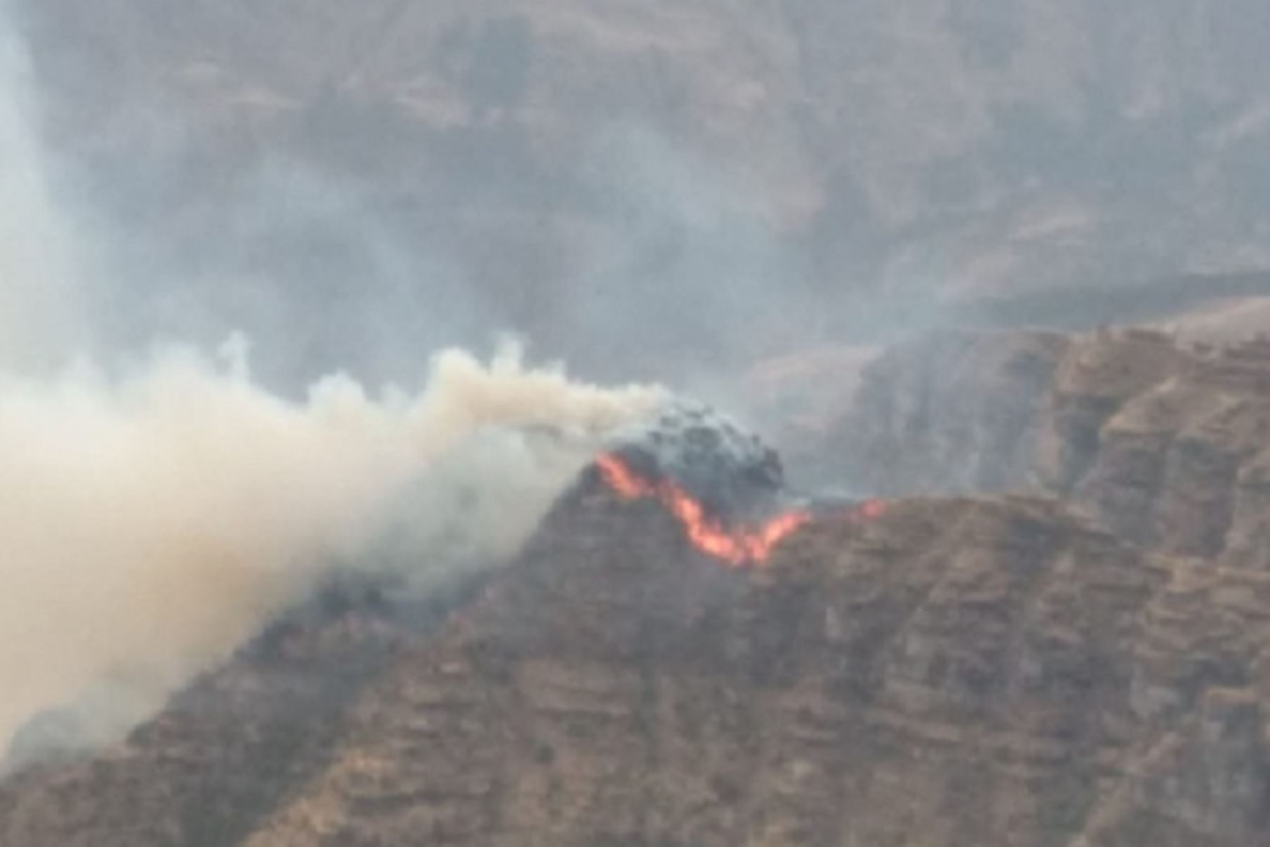 Bomberos, policías y miembros del Ejército del Perú luchan por controlar el incendio forestal iniciado el 20 de noviembre en Acos, región Cusco. Foto: ANDINA/Difusión