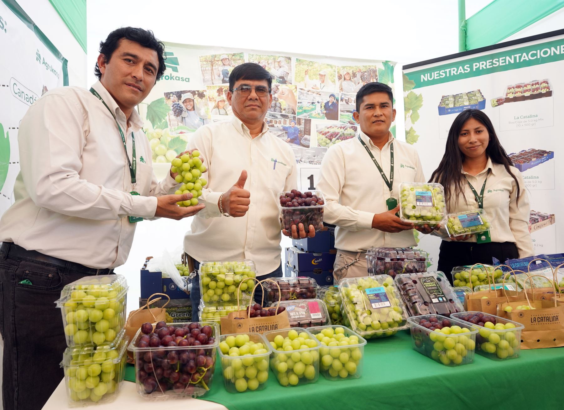 Ica se consolida como la primera región exportadora de uva de mesa y este año prevé vender a diversos mercados internacionales más de 265,000 toneladas, casi el 50 % del total nacional. Foto: Genry Bautista