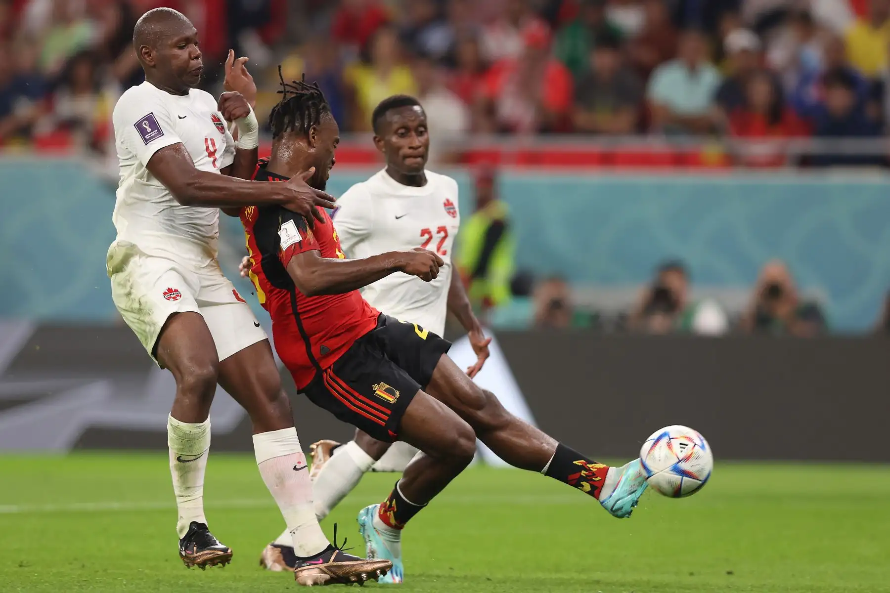 Michy Batshuayi de Bélgica anota el 1-0 durante el partido de fútbol del grupo F de la Copa Mundial de la FIFA 2022 entre Bélgica y Canadá en el estadio Ahmad bin Ali de Doha, Catar, el 23 de noviembre 2022. Foto: EFE