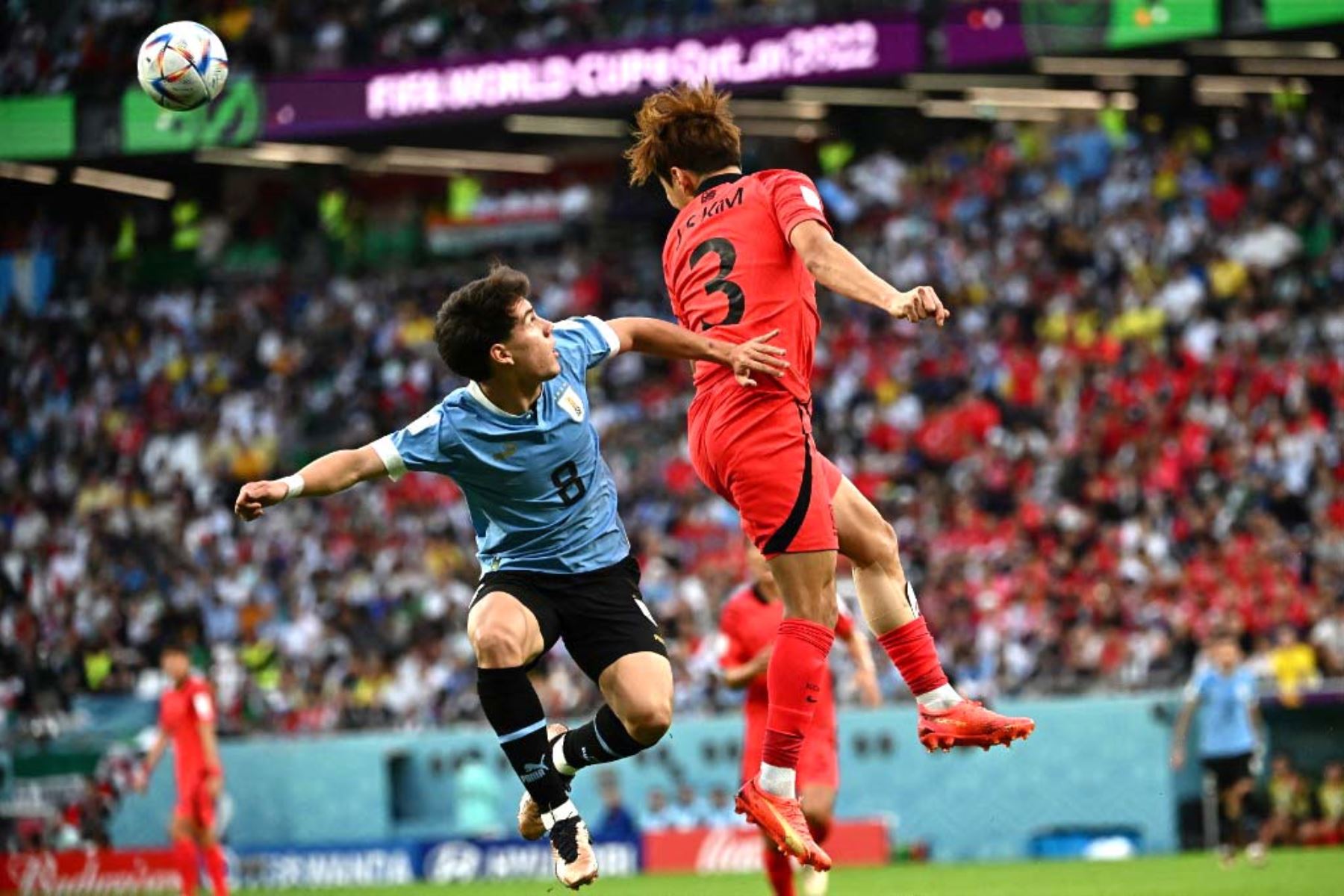 El defensor de Corea del Sur Kim Jin-su y el mediocampista de Uruguay Facundo Pellistri saltan para cabecear el balón durante el partido de fútbol del Grupo H de la Copa Mundial de Catar 2022 entre Uruguay y Corea del Sur en el Education City Stadium en Al-Rayyan. Foto: AFP