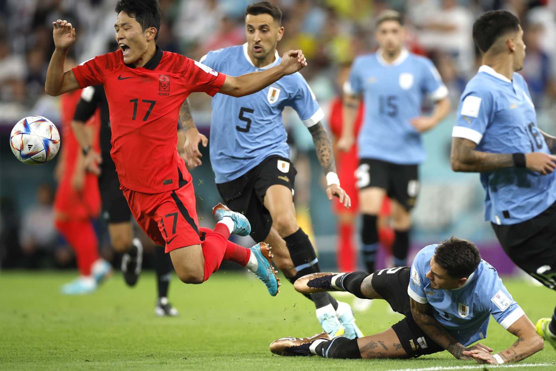 Josema Giménez de Uruguay, disputa un balón con Na Sang-ho de Corea del Sur hoy, en un partido de la fase de grupos del Mundial de Fútbol Catar 2022. Foto: AFP