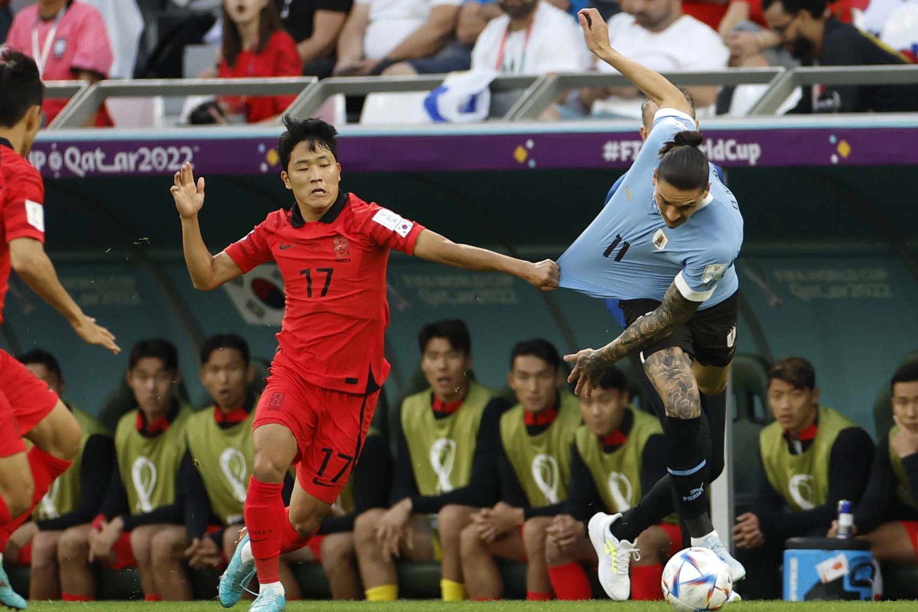 Darwin Núñez  de Uruguay disputa un balón con Na Sang-ho de Corea del Sur hoy, en un partido de la fase de grupos del Mundial de Fútbol Catar 2022. Foto: EFE