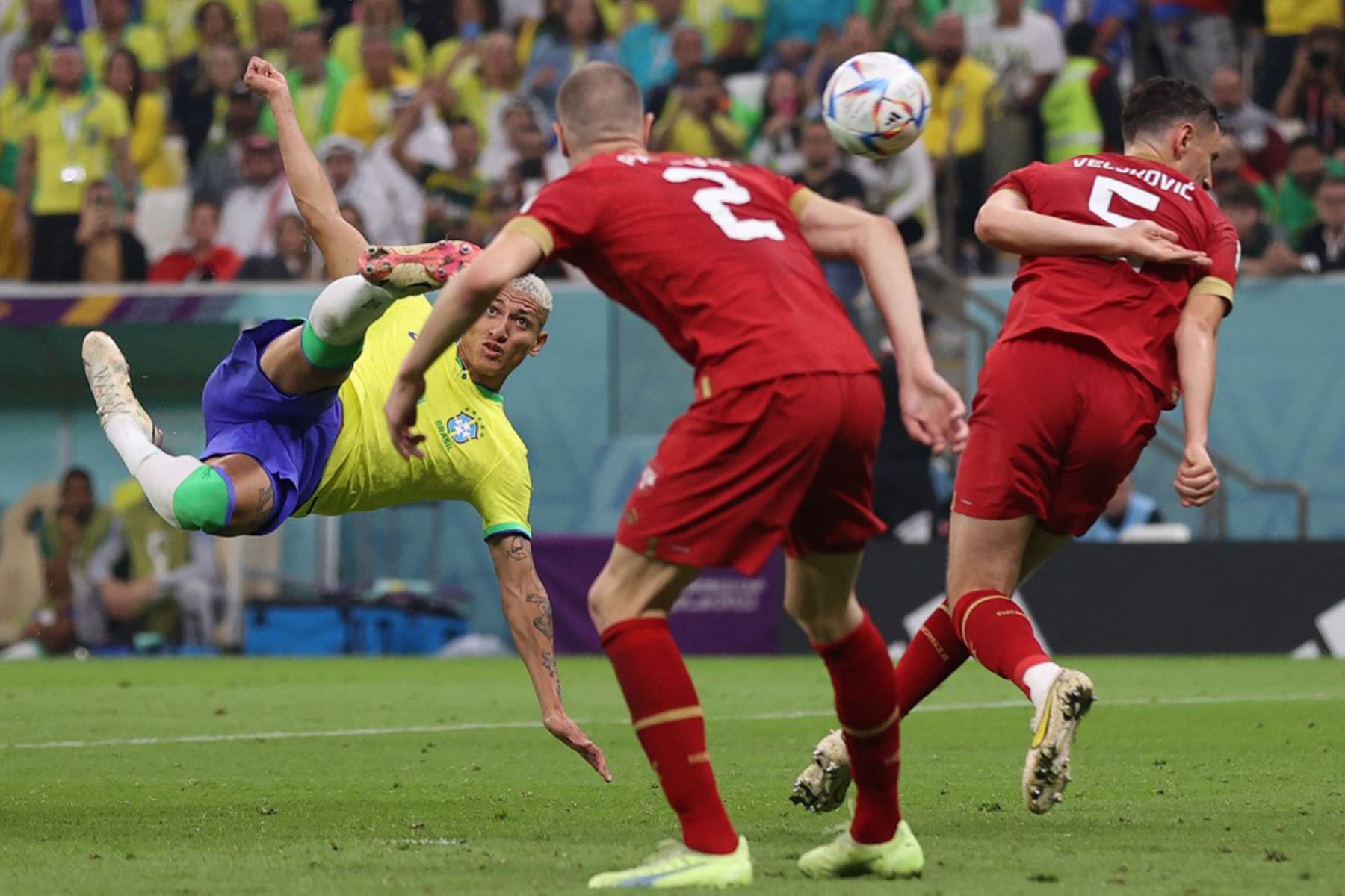 El delantero brasileño Richarlison (L) anota el segundo gol de su equipo durante el partido de fútbol del Grupo G de la Copa Mundial Catar 2022 entre Brasil y Serbia en el Estadio Lusail en Lusail, al norte de Doha.

Foto:AFP