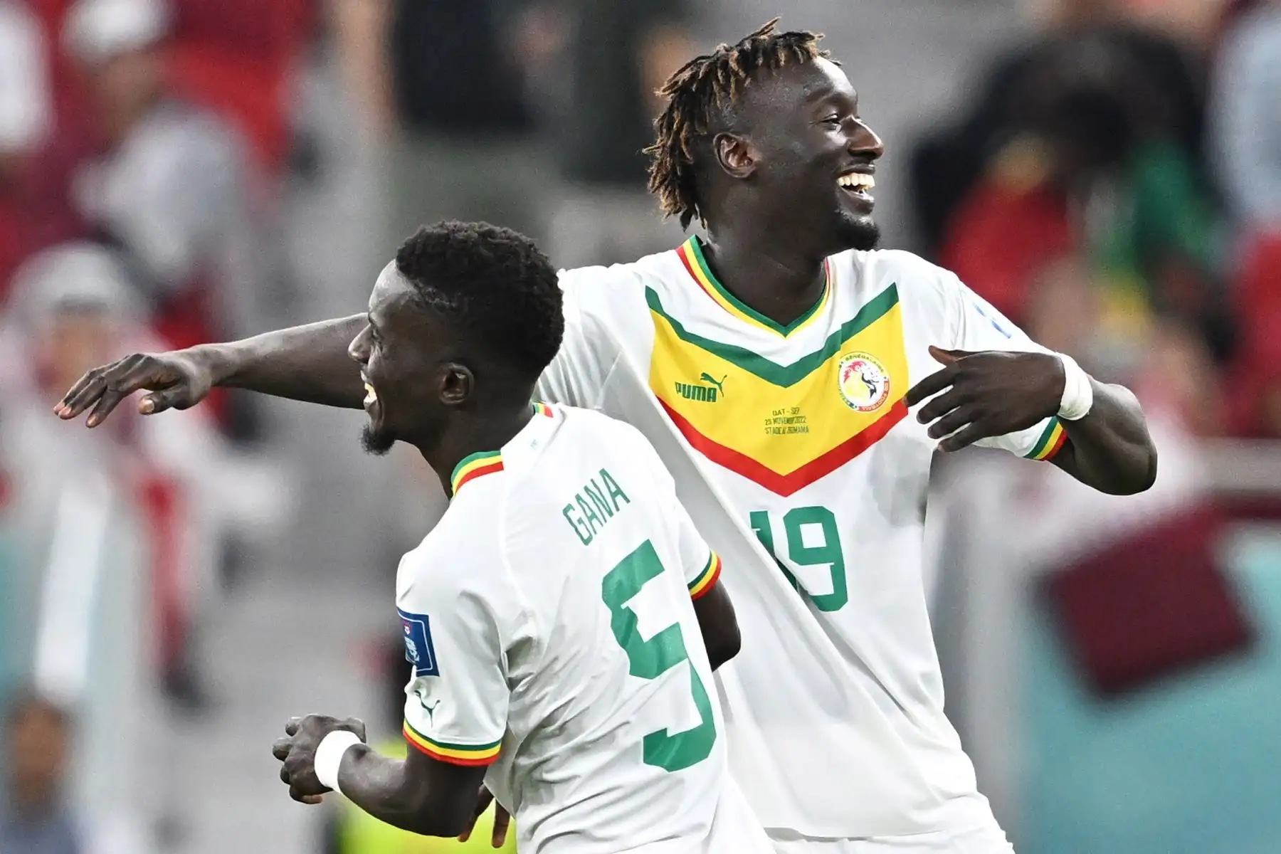 Famara Diedhiou de Senegal, celebra anotar su gol durante el partido de fútbol del grupo A de la Copa Mundial de la FIFA 2022 entre Catar y Senegal en el estadio Al Thumama en Doha, Catar. Foto: EFE