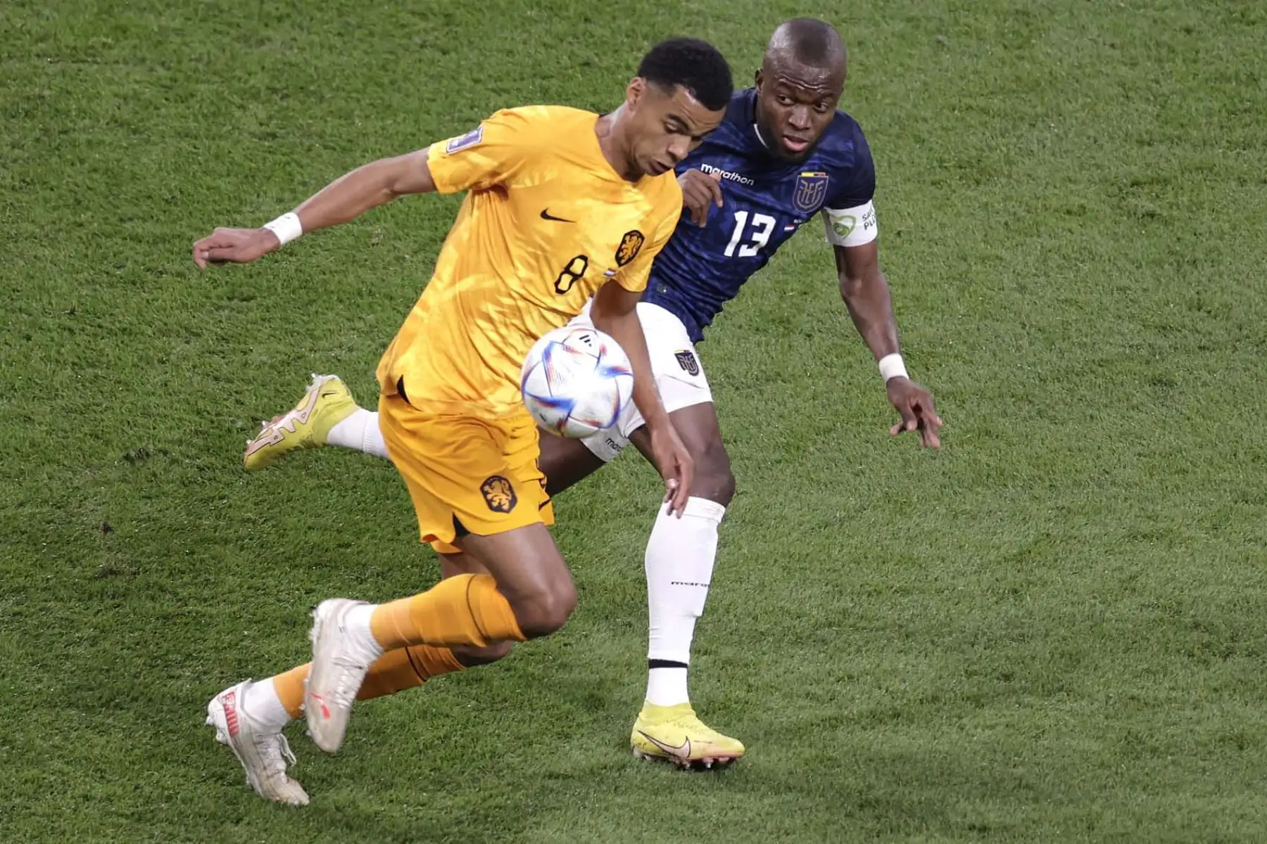 Cody Gakpo de Países Bajos disputa un balón con Énner Valencia de Ecuador, en un partido de la fase de grupos del Mundial de Fútbol Catar 2022. Foto: EFE