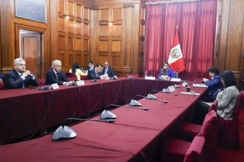 Foto: ANDINA/Vidal Tarqui.