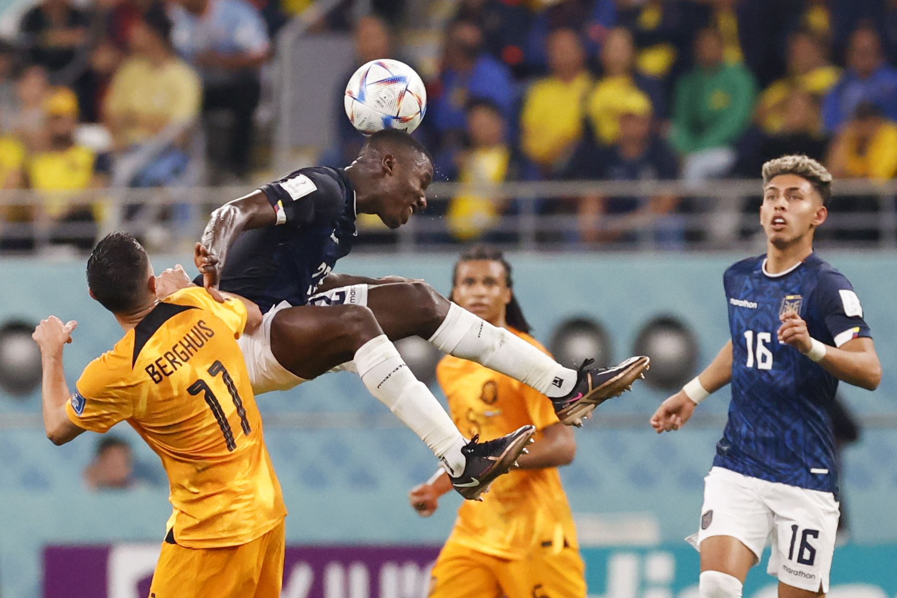 Steven Berghuis de Países Bajos disputa un balón con Moisés Caicedo de Ecuador, en un partido de la fase de grupos del Mundial de Fútbol Catar 2022. Foto: EFE