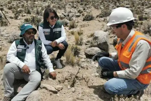 Serfor y Anglo American Quellaveco impulsan investigación forestal y de fauna silvestre
