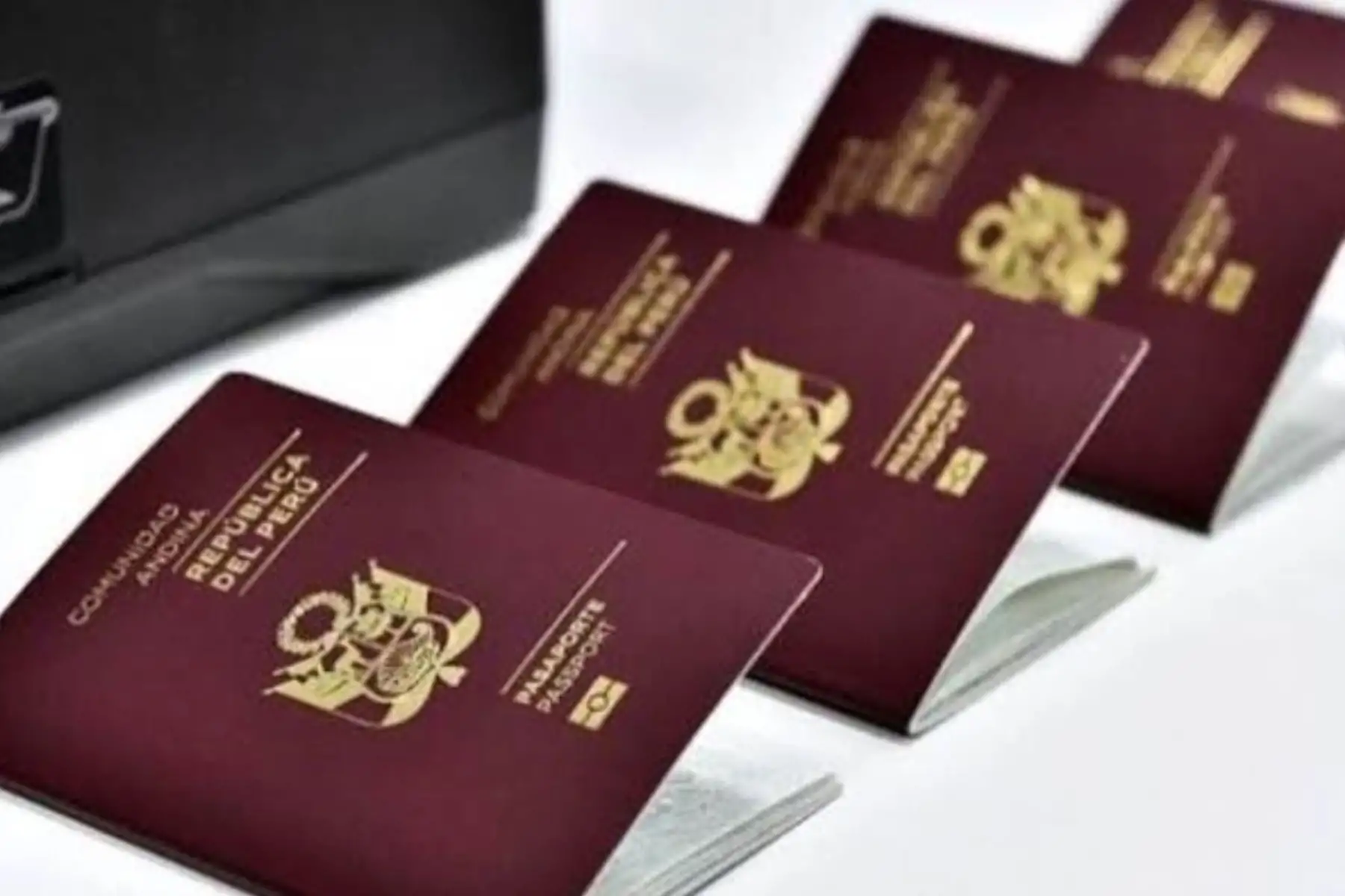 Pasaporte electrónico. Foto: Difusión