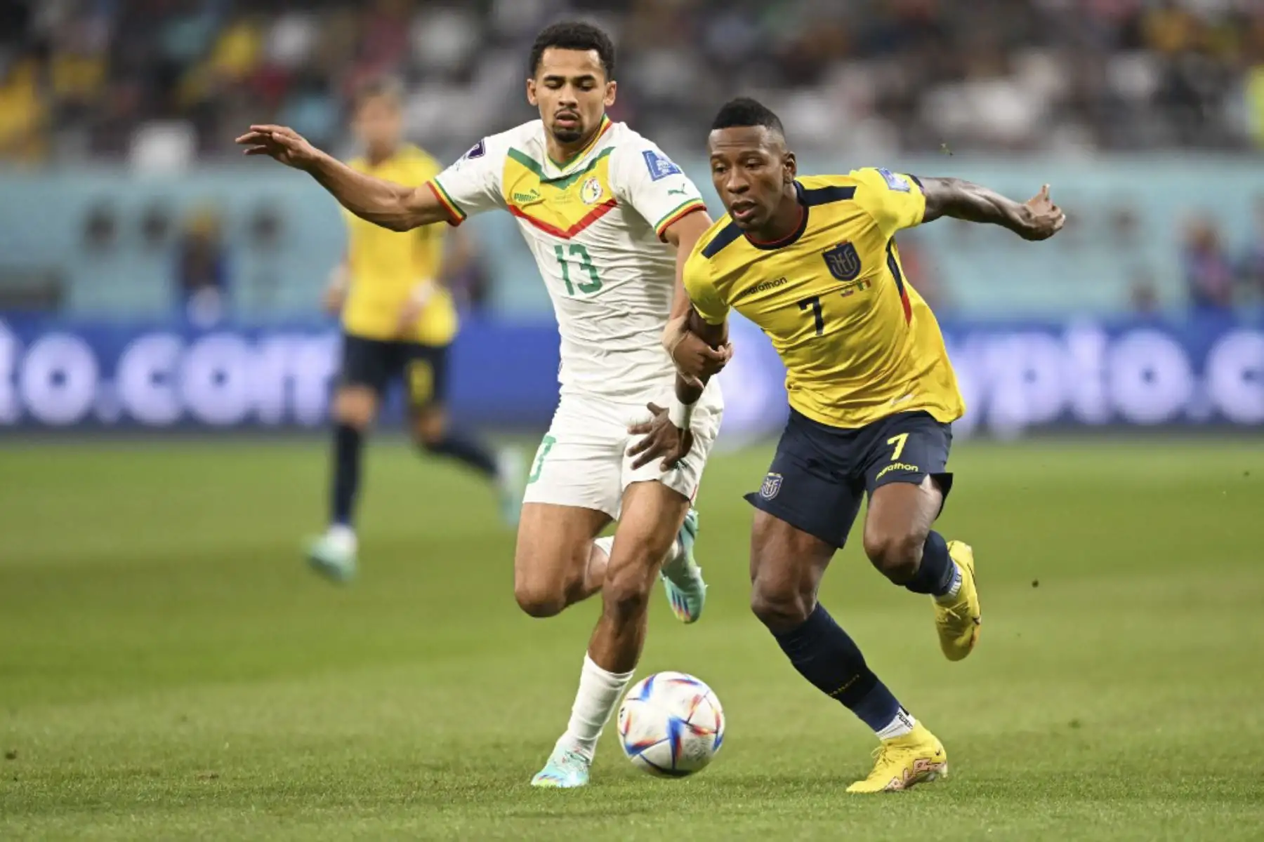 El delantero de Senegal #13 Iliman Ndiaye compite con el defensor de Ecuador #07 Pervis Estupinan durante el partido de fútbol del Grupo A de la Copa Mundial de Catar 2022 entre Ecuador y Senegal en el Estadio Internacional Khalifa en Doha

Foto: AFP