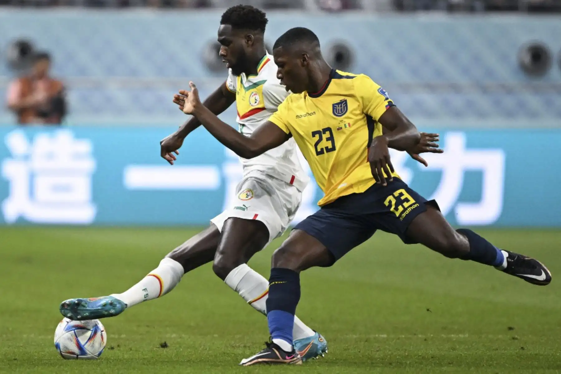 El mediocampista ecuatoriano #23 Moises Caicedo (R) lucha por el balón con el delantero #09 Boulaye Dia (L) de Senegal durante el partido de fútbol del Grupo A de la Copa Mundial Catar 2022 entre Ecuador y Senegal en el Estadio Internacional Khalifa en Doha
Foto: AFP