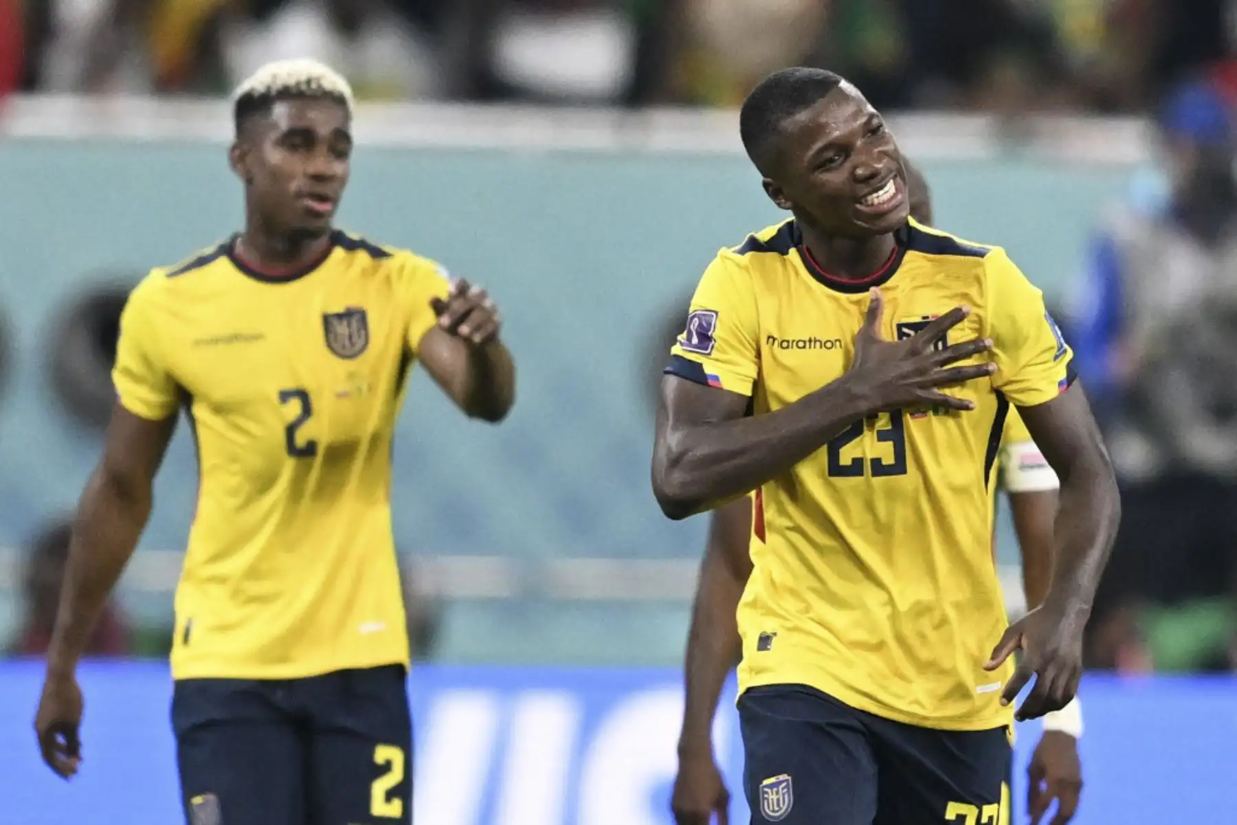 El mediocampista ecuatoriano #23 Moises Caicedo (R) celebra marcar el primer gol de su equipo durante el partido de fútbol del Grupo A de la Copa Mundial Catar 2022 entre Ecuador y Senegal en el Estadio Internacional Khalifa en Doha

Foto: AFP