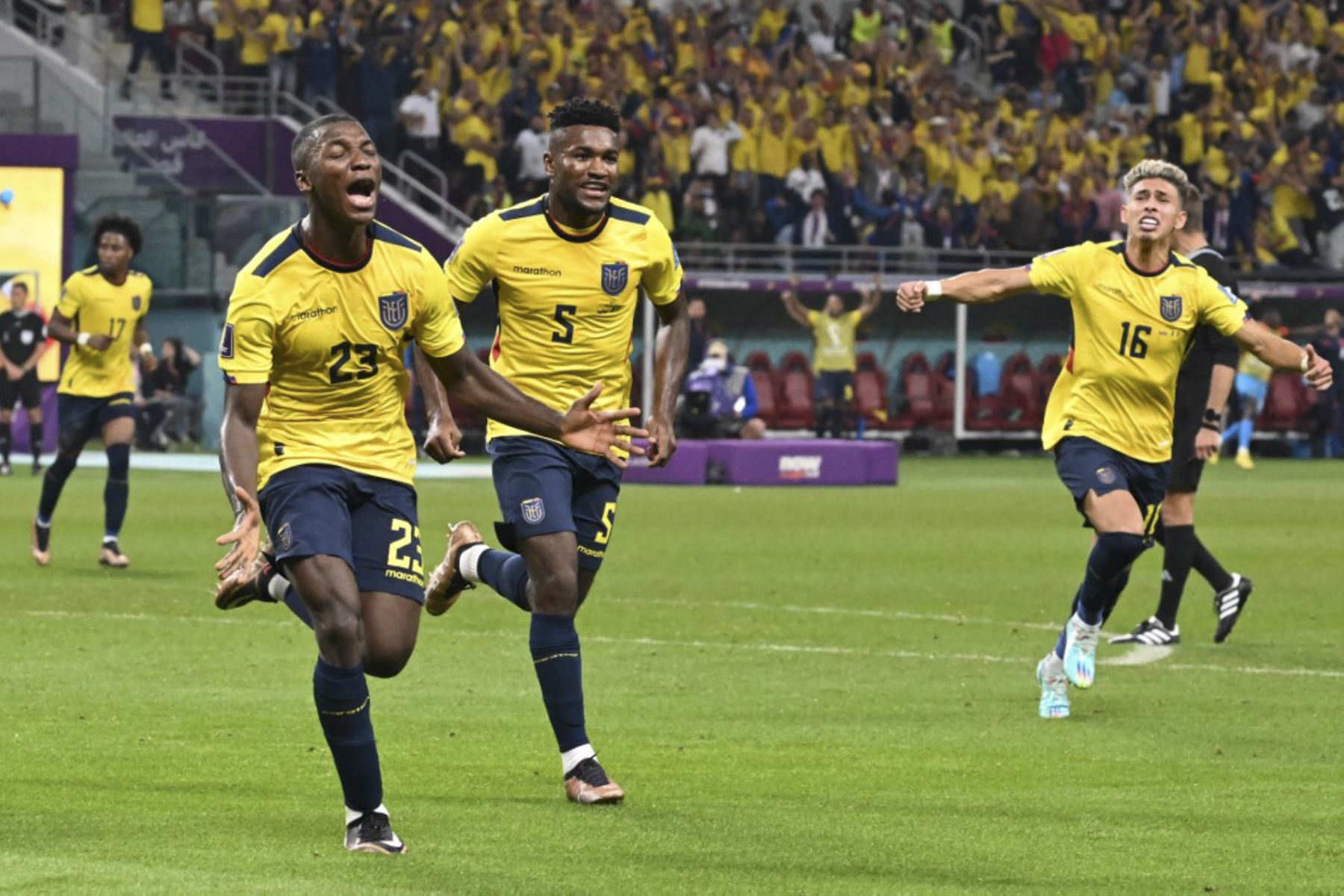 El mediocampista ecuatoriano #23 Moises Caicedo (R) celebra marcar el primer gol de su equipo durante el partido de fútbol del Grupo A de la Copa Mundial Catar 2022 entre Ecuador y Senegal en el Estadio Internacional Khalifa en Doha

Foto: AFP