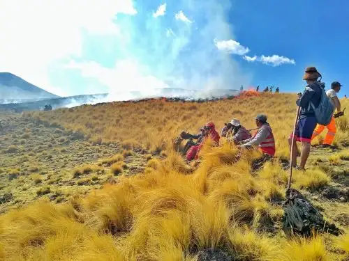 IGP propone evaluar nuevas estrategias para mejorar prevención de incendios forestales y presentar alternativas a los agricultores para que abandonen la práctica tradicional de prender fuego a los campos de cultivo. ANDINA/Difusión
