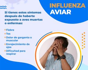 ¿Qué es la gripe aviar? Conozca más sobre esta enfermedad y las recomendaciones que brindan las autoridades de Salud para prevenir la propagación de la enfermedad. ANDINA/Difusión