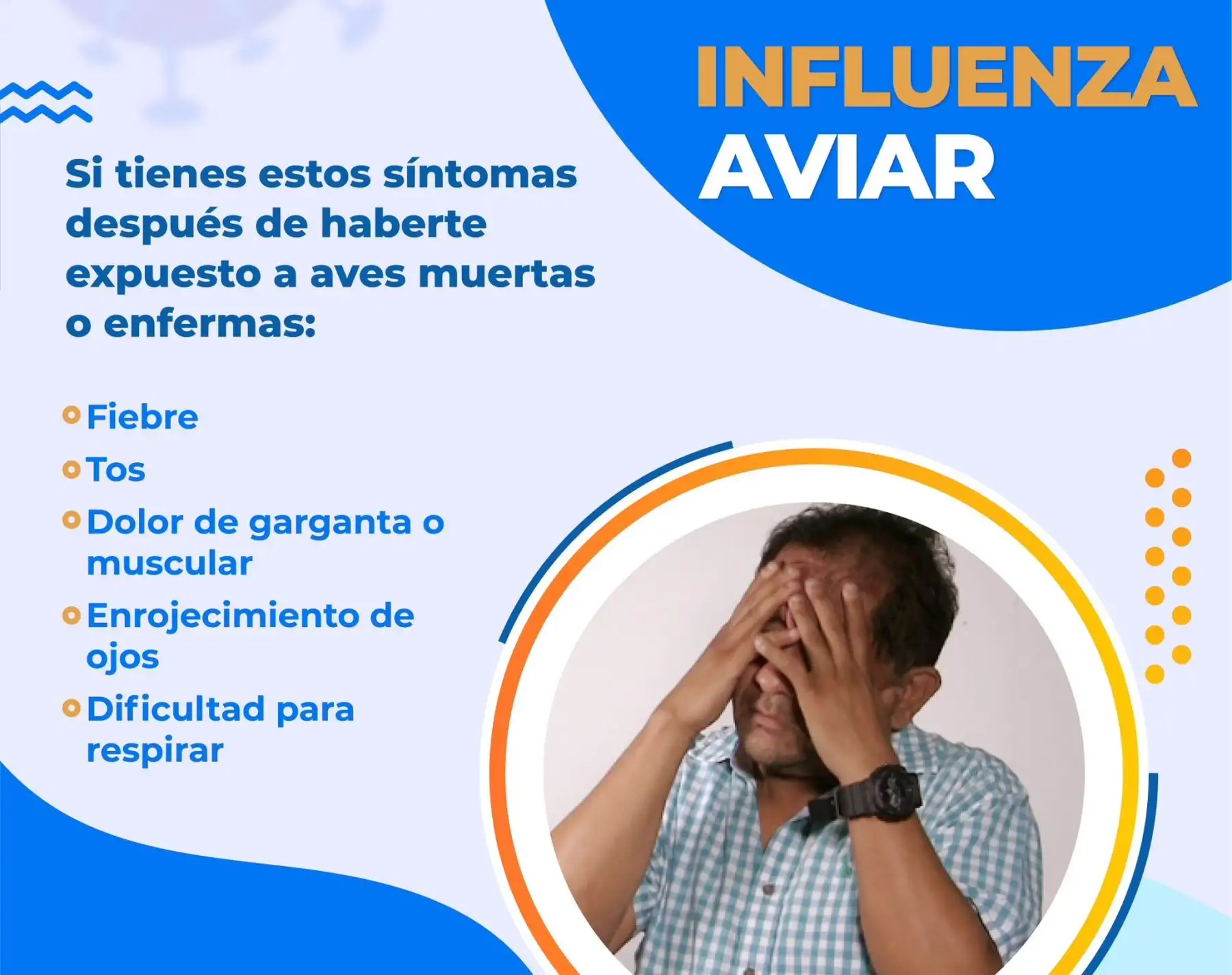 ¿Qué es la gripe aviar? Conozca más sobre esta enfermedad y las recomendaciones que brindan las autoridades de Salud para prevenir la propagación de la enfermedad. ANDINA/Difusión