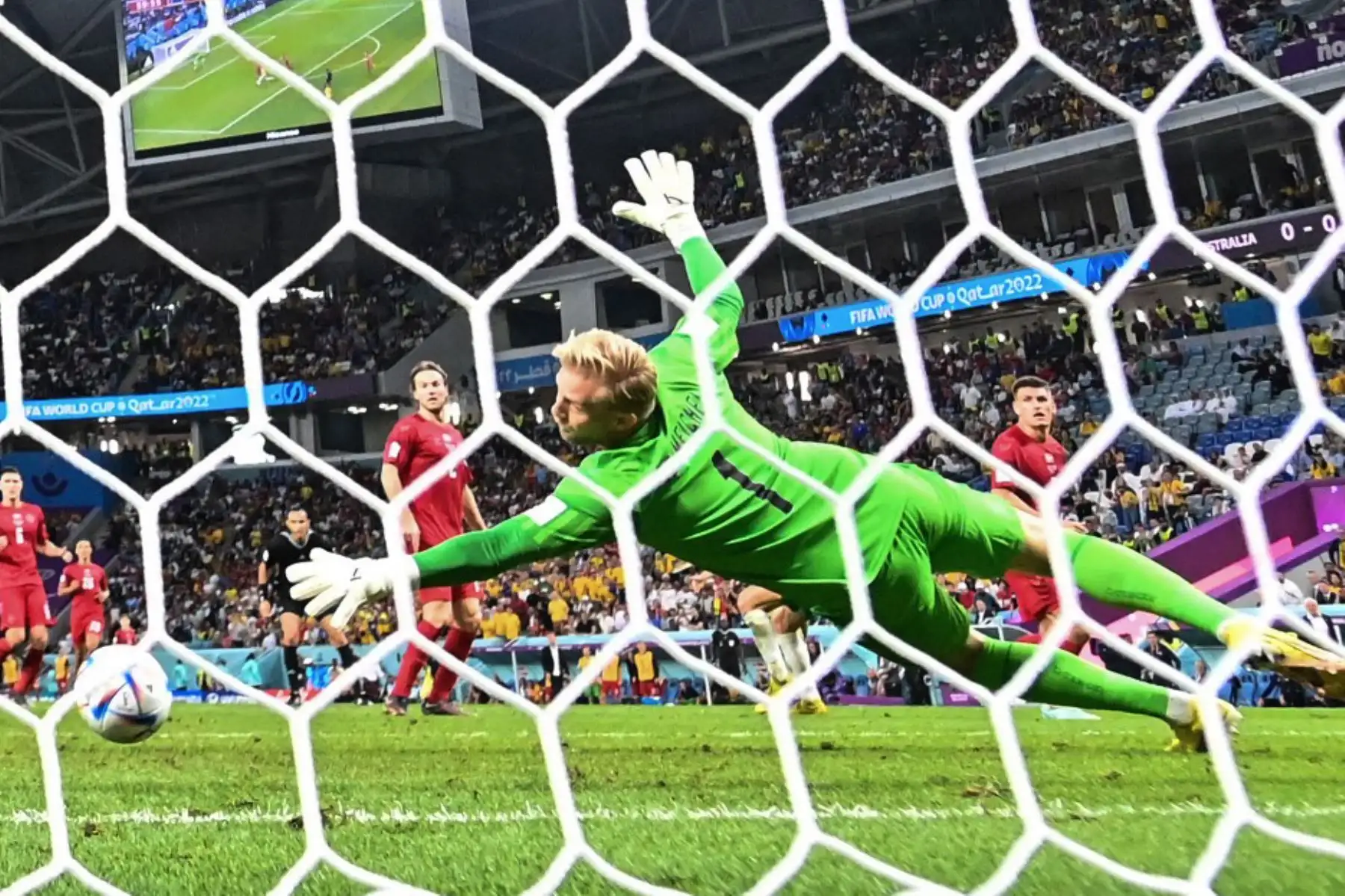 El delantero australiano Mathew Leckie celebra marcar el primer gol de su equipo ante el portero danés Kasper Schmeichel durante el partido de fútbol del Grupo D de la Copa Mundial Catar 2022 entre Australia y Dinamarca. Foto: AFP