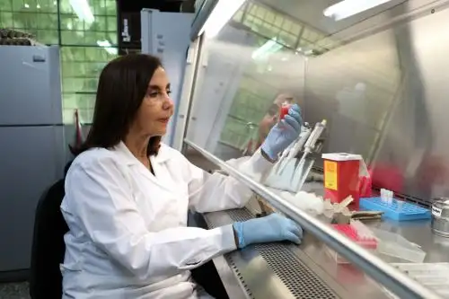 Científicos de la Universidad Nacional Mayor de San Marcos investigan cómo prevenir el virus de la influenza A que afecta a aves y porcinos y desarrollar vacunas para prevenir casos en seres humanos. ANDINA/Difusión