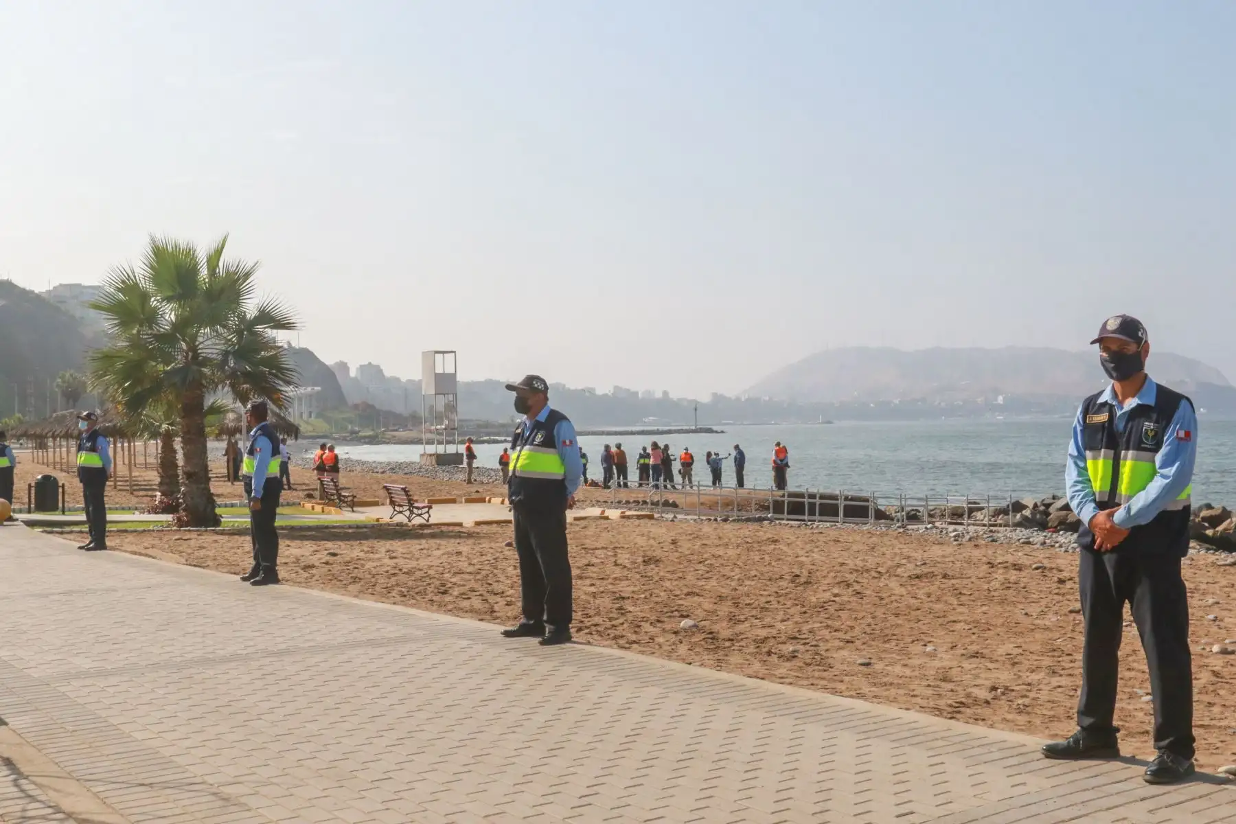 La municipalidad de Miraflores decidido restringir el acceso a las 8 playas de su jurisdicción, ubicadas en la Costa Verde, hasta que concluyan las labores de recojo de las aves muertas o afectadas por la gripe aviar, informó el alcalde distrital, Luis Molina.
Foto: ANDINA/Héctor Vinces