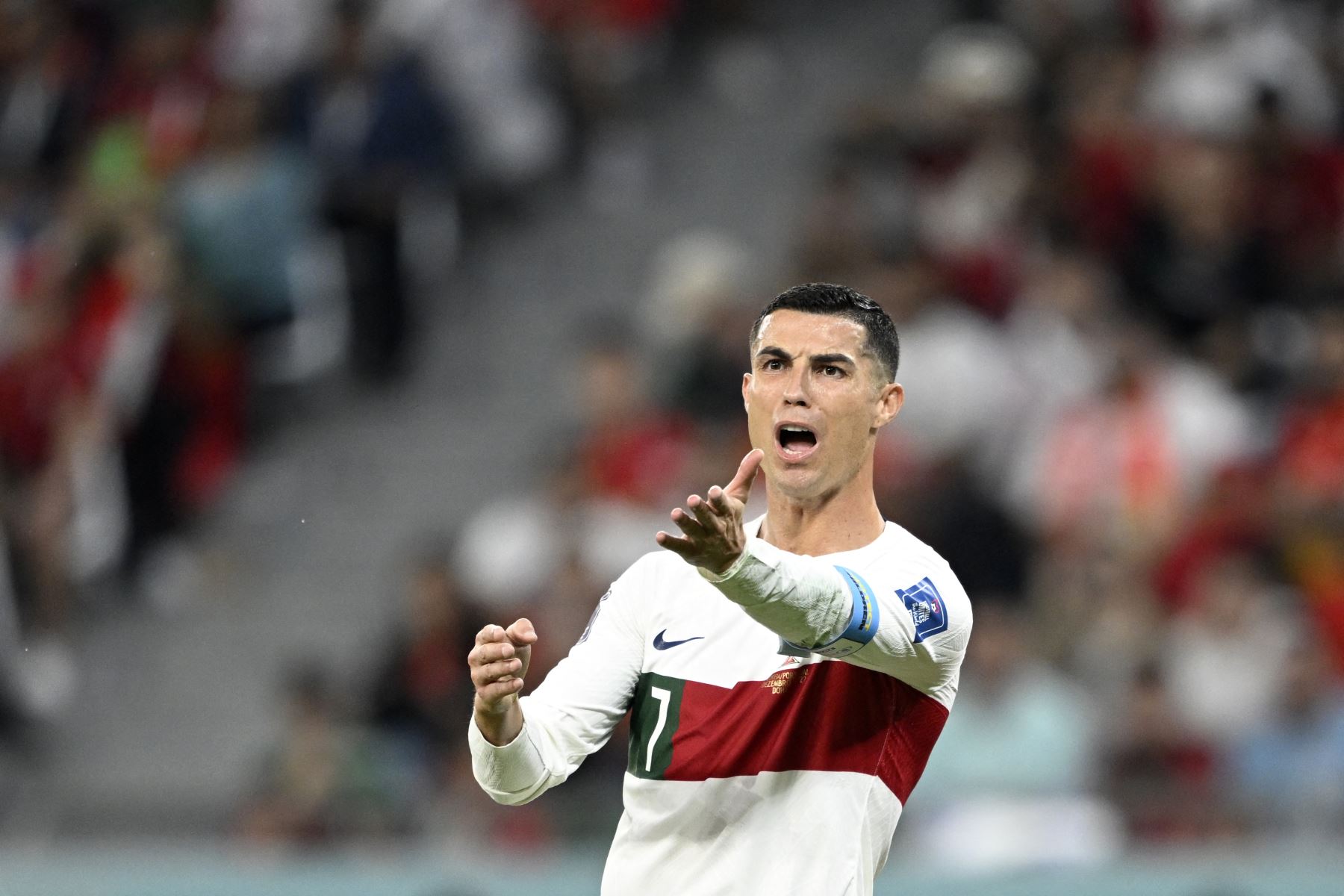 Reconocimiento inteligencia Artes literarias Mundial Catar 2022: Cristiano Ronaldo será suplente hoy ante Suiza |  Noticias | Agencia Peruana de Noticias Andina