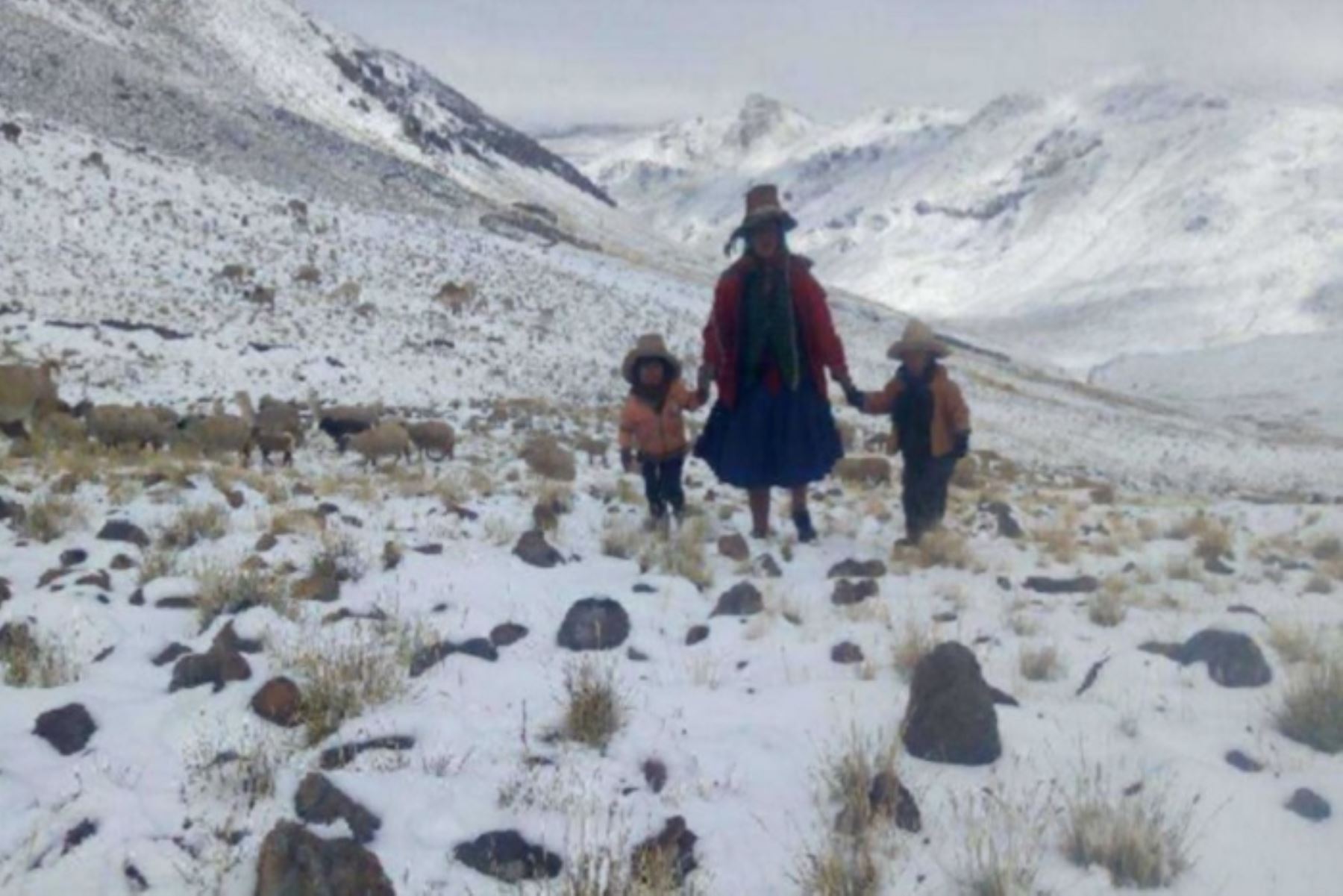 Localidades ubicadas en zonas andinas soportarán bajas temperaturas extremas, advierte el Senamhi. Foto: ANDINA/difusión.