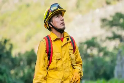 Cortometraje ha sido realizado por la productora peruana Centella Comunicaciones, con financiamiento de la Organización Internacional de las Maderas Tropicales y apoyo del Sernanp, Inca Rail e Inkaterra.
