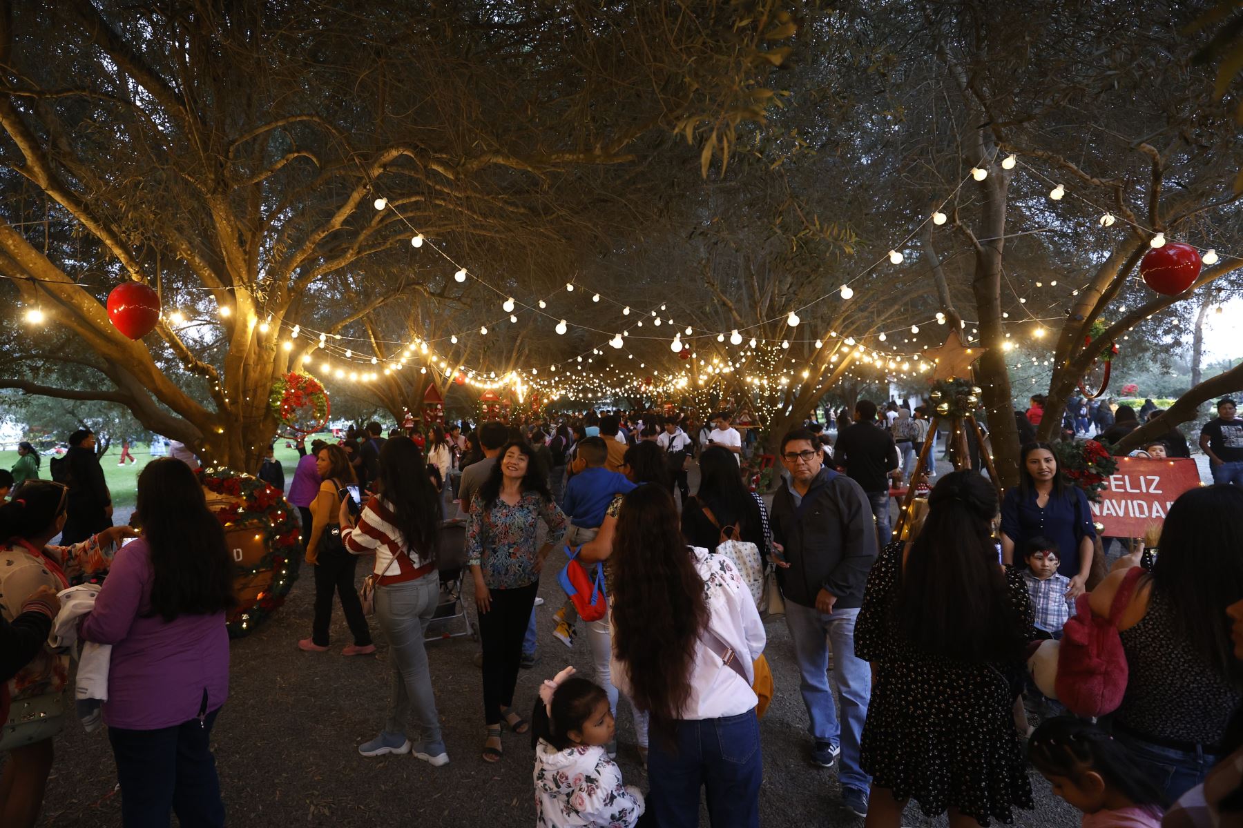 Revive la magia de la navidad en familia visitando el Parque de la Felicidad en San Borja. La principal atracción es el Árbol Mágico de la Navidad que está adornada con más de 700 guirnaldas y luces led. Foto: ANDINA/Vidal Tarqui.