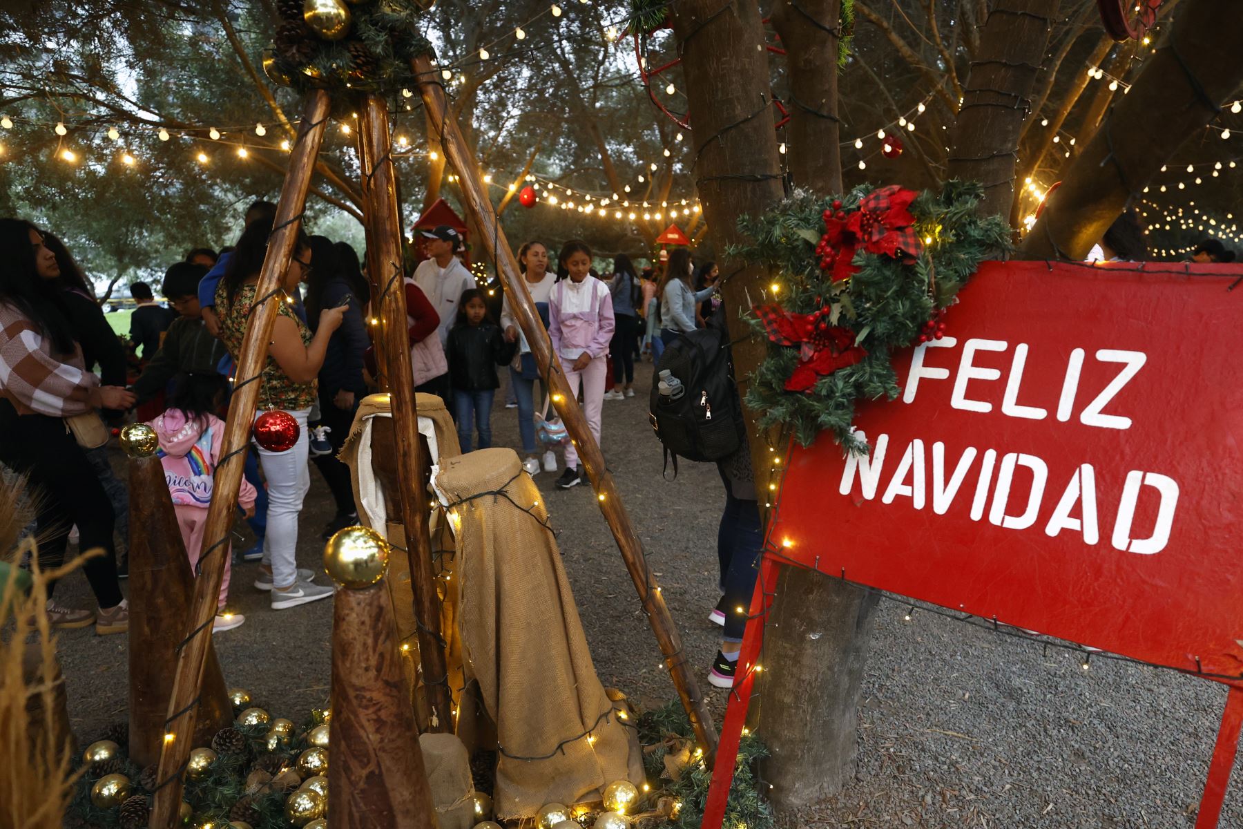 Revive la magia de la navidad en familia visitando el Parque de la Felicidad en San Borja. La principal atracción es el Árbol Mágico de la Navidad que está adornada con más de 700 guirnaldas y luces led. Foto: ANDINA/Vidal Tarqui.