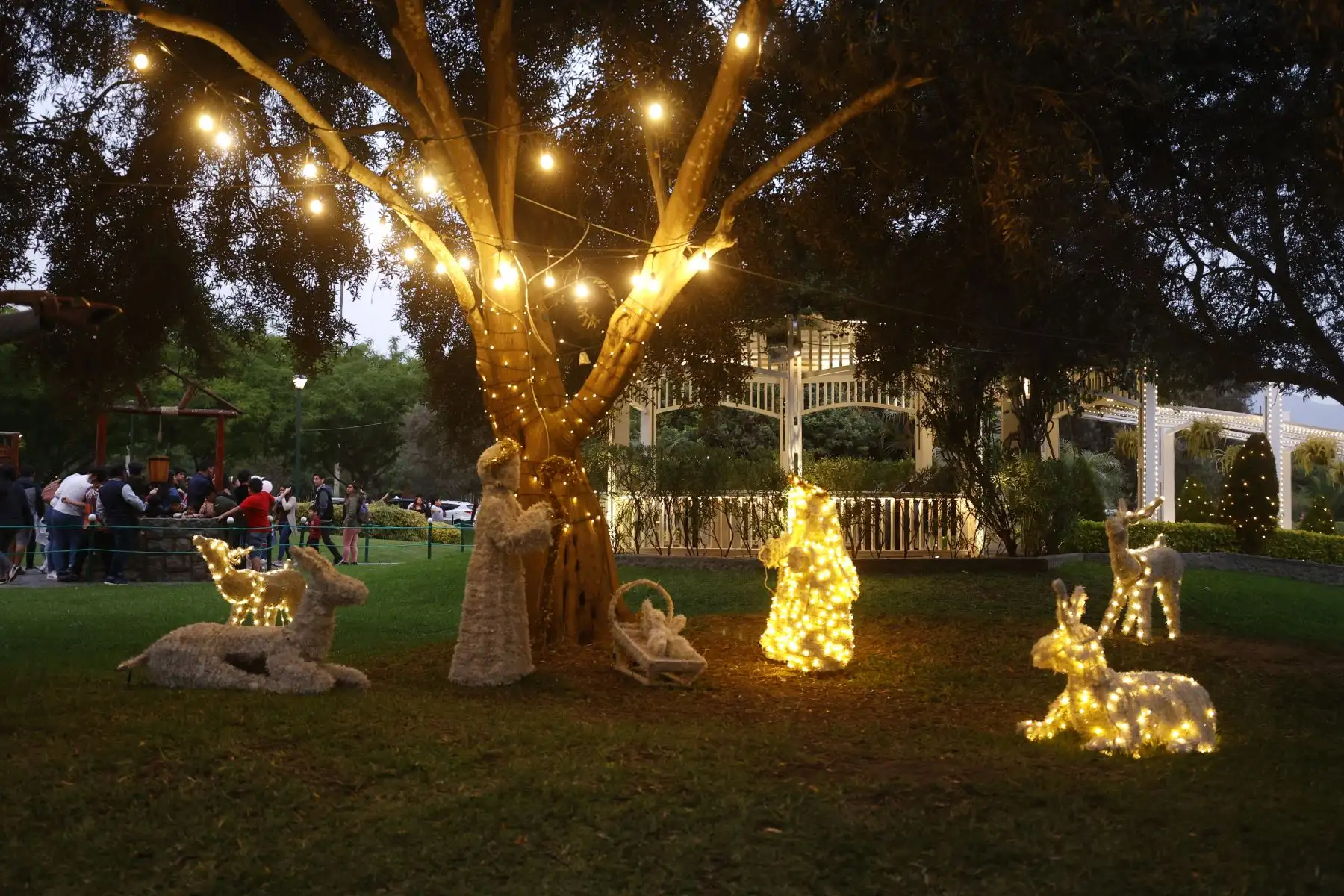 Revive la magia de la navidad en familia visitando el Parque de la Felicidad en San Borja. La principal atracción es el Árbol Mágico de la Navidad que está adornada con más de 700 guirnaldas y luces led. Foto: ANDINA/Vidal Tarqui.