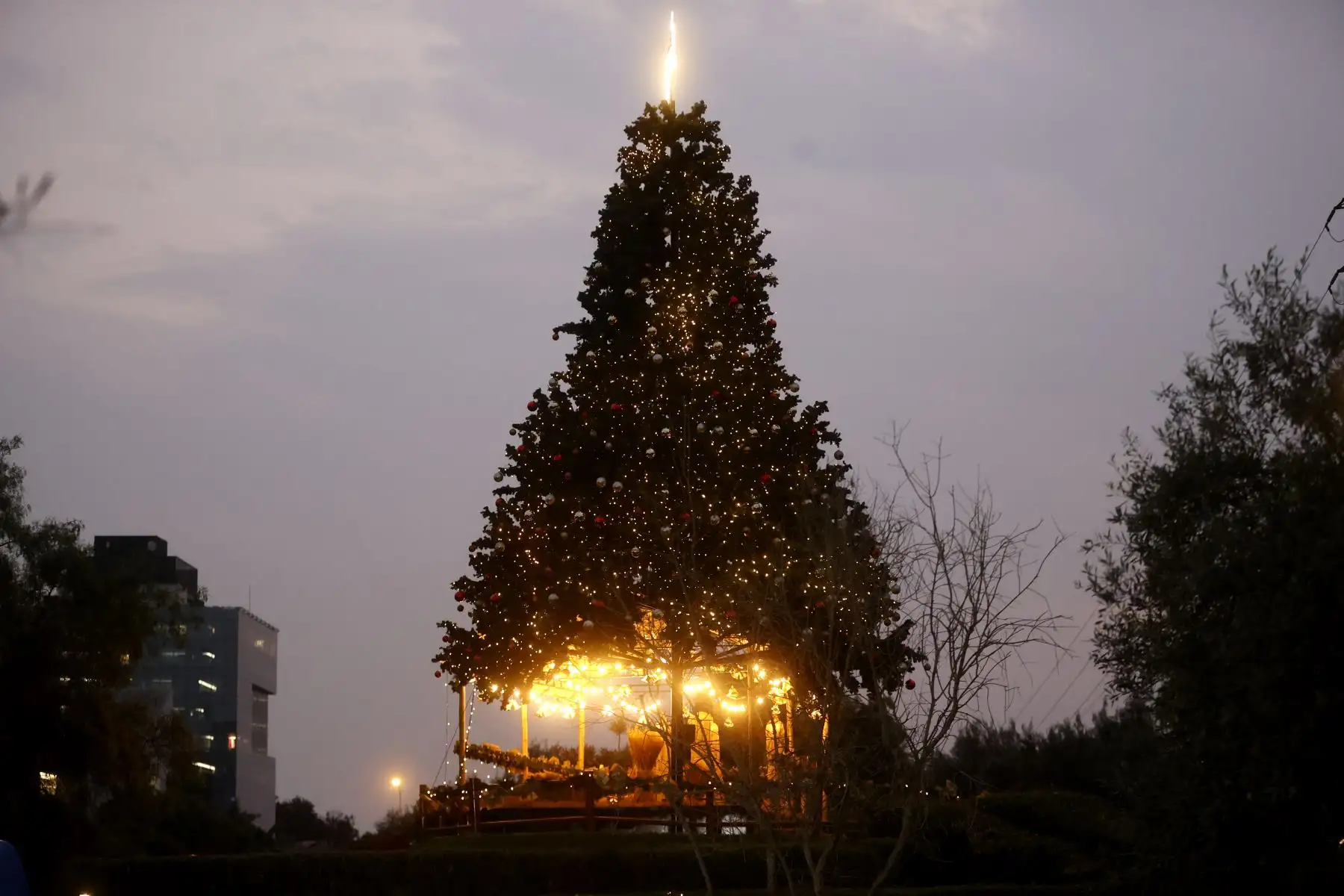 Revive la magia de la navidad en familia visitando el Parque de la Felicidad en San Borja. La principal atracción es el Árbol Mágico de la Navidad que está adornada con más de 700 guirnaldas y luces led. Foto: ANDINA/Vidal Tarqui.