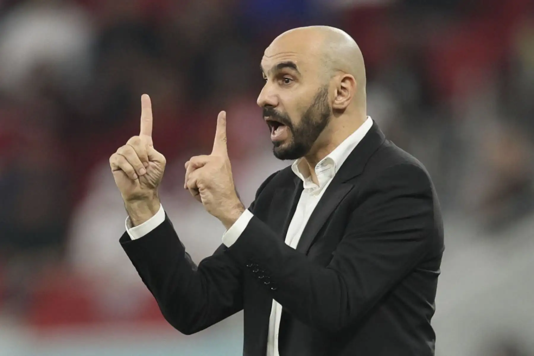 El entrenador de Marruecos, Walid Regragui, da instrucciones a sus jugadores desde la línea de banda durante el partido de fútbol de cuartos de final de la Copa Mundial de Catar 2022 entre Marruecos y Portugal en el Estadio Al-Thumama en Doha

Foto: AFP