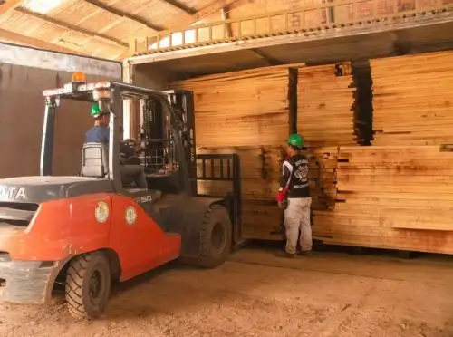 CITEforestal Pucallpa presentó un innovador proyecto que optimiza el proceso de secado de la madera manchinga y potencia el valor de esta madera que tiene gran demanda en el mercado nacional para estructuras y pisos. ANDINA/Difusión