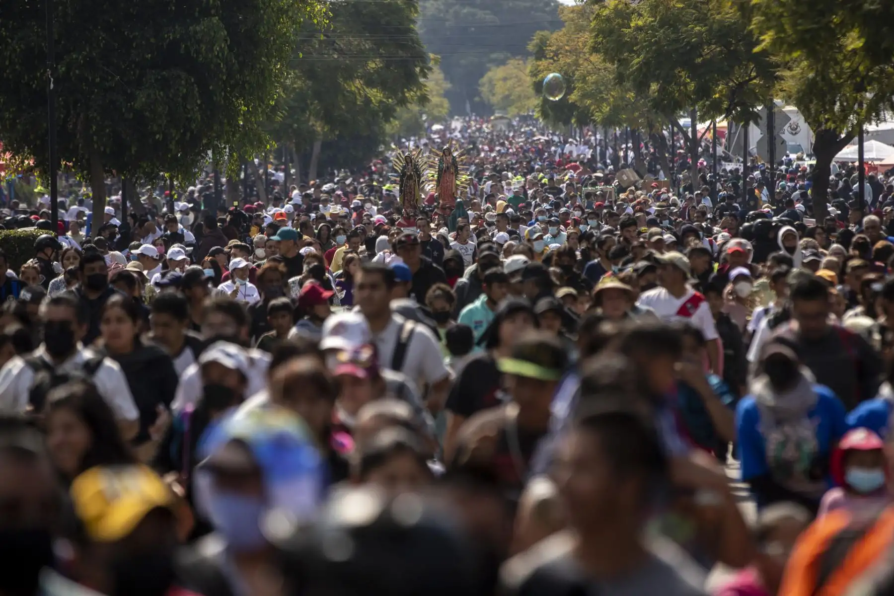 Cientos de miles de peregrinos comenzaron a llegar este domingo, en mayor cantidad, a la Basílica de Guadalupe en Ciudad de México en la víspera del Día de la Virgen que se celebrará el lunes luego de dos años de de restricciones por la pandemia de la covid-19.
Foto: EFE