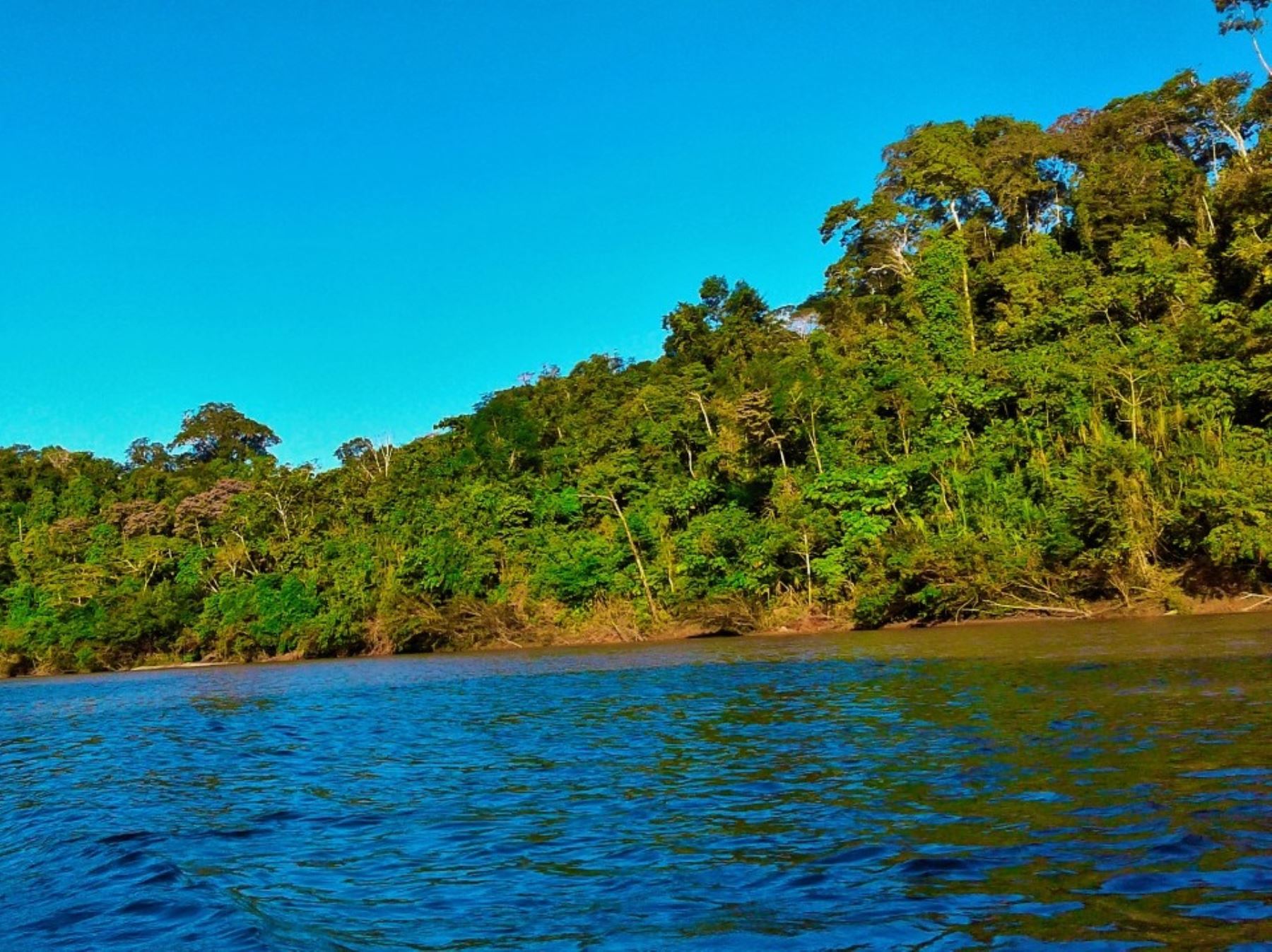 La Reserva Comunal Machiguenga y el Santuario Nacional Megantoni fueron incluidos en la prestigiosa Lista Verde que premia a las mejores áreas naturales protegidas que destacan por sus altos estándares de conservación. ANDINA/Difusión