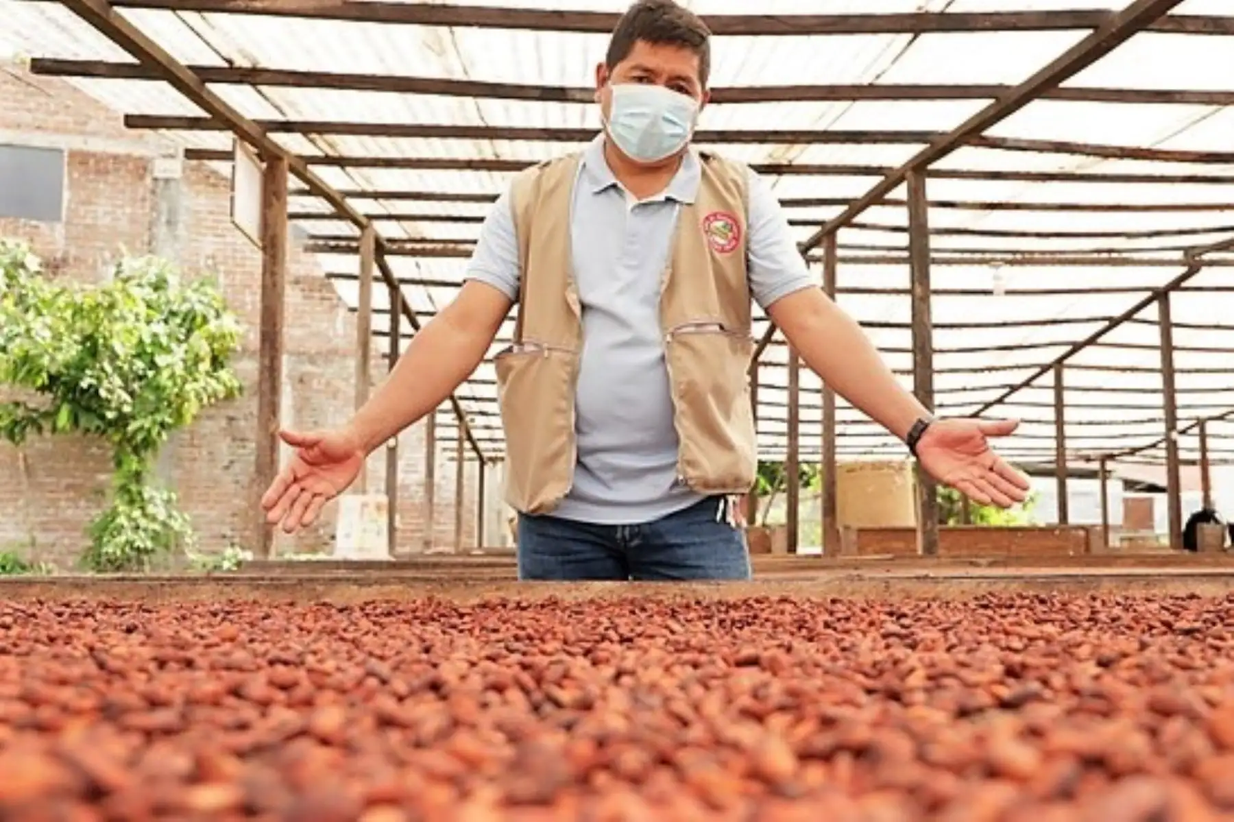 Proyectos de reconversión productiva se ejecutan con apoyo financiero del Midagri. Foto: ANDINA/Difusión