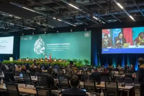 En la Conferencia de las Naciones Unidas sobre Biodiversidad (COP15), que se realiza en Montreal, Perú participa, como parte de los 20 Estados megadiversos, en la toma de decisiones sobre los consensos que se implementarán a nivel mundial para transformar los modelos económicos, sociales y financieros que reduzcan la pérdida de biodiversidad para 2030 y tracen nuevas metas hacia 2050.