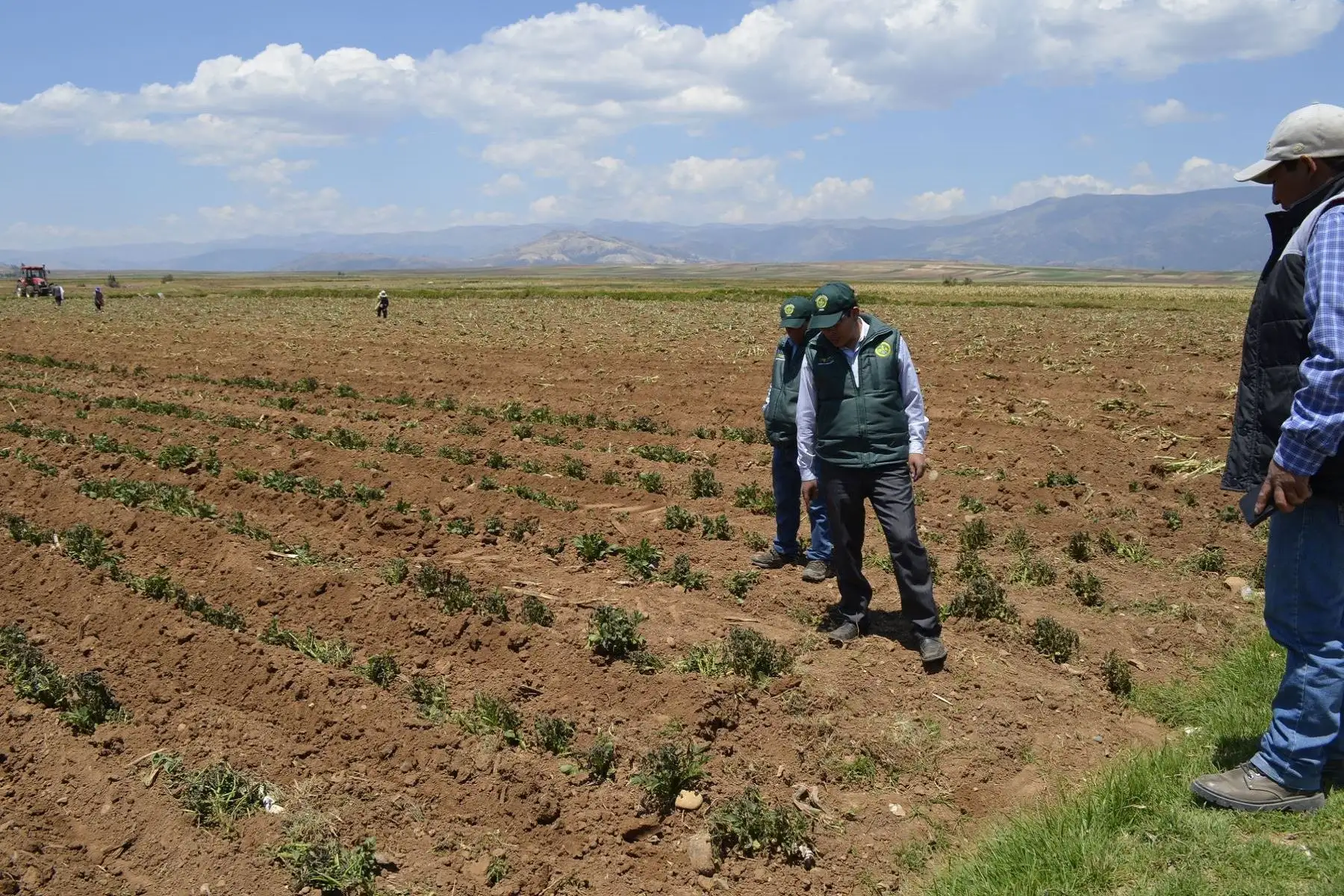 La sequía agrícola se detecta cuando el estrés continuo e intenso por la humedad del suelo conduce a una reducción significativa del rendimiento del cultivo. Foto: ANDINA/Difusión
