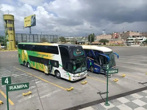 Conoce los 366 terminales terrestres formales habilitados por el MTC para realizar un viaje seguro. ANDINA/Difusión