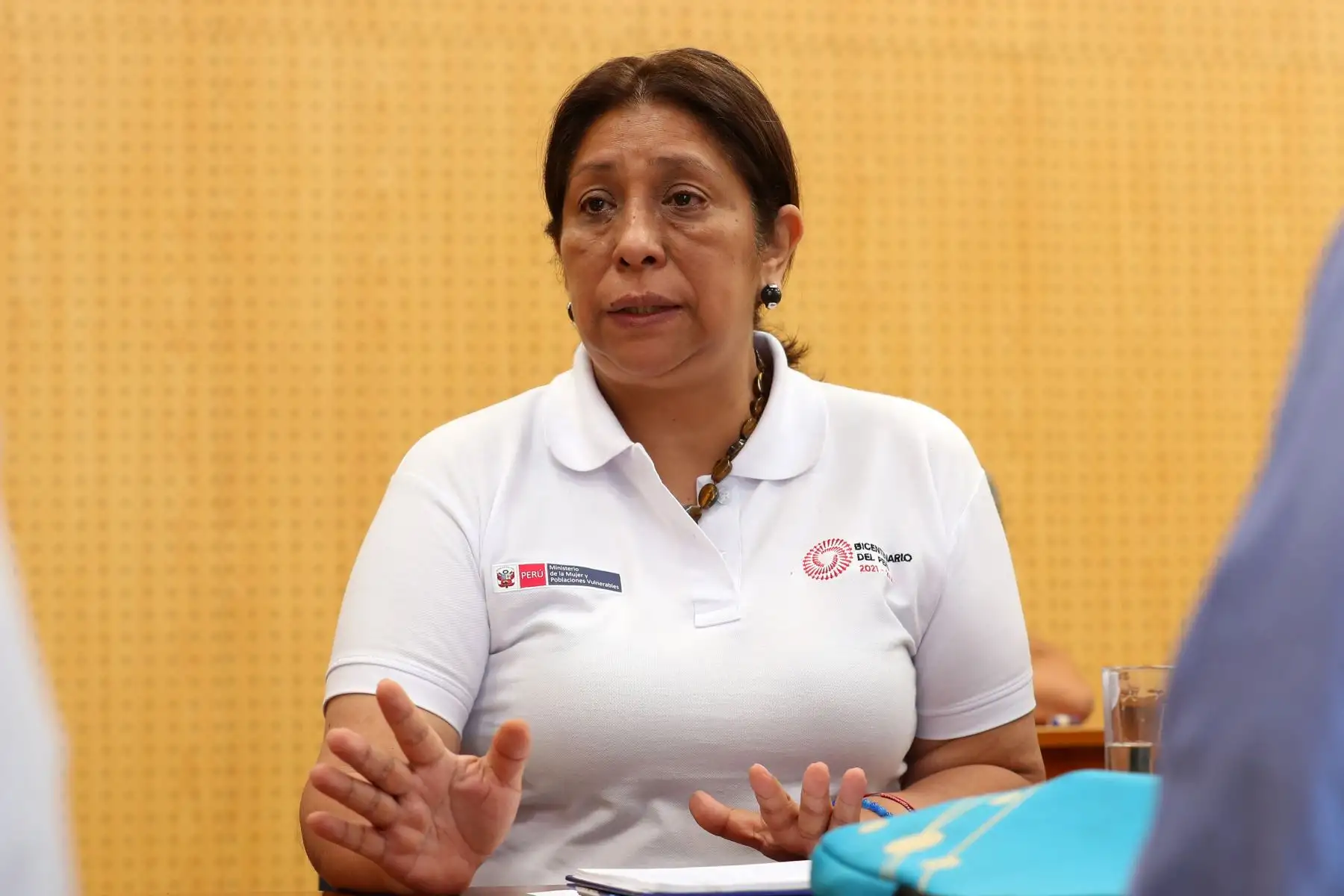 La ministra de la Mujer y Poblaciones Vulnerables, Grecia Rojas, y la ministra del Ambiente, Albina Ruiz, llegaron a la región San Martín para realizar coordinaciones con autoridades regionales y locales y representantes de distintas organizaciones de la sociedad civil. Foto: ANDINA/Difusión