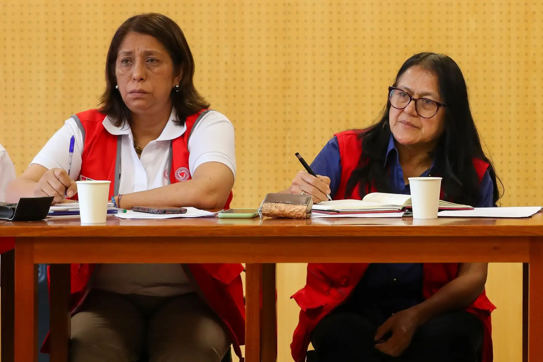 La ministra de la Mujer y Poblaciones Vulnerables, Grecia Rojas, y la ministra del Ambiente, Albina Ruiz, llegaron a la región San Martín para realizar coordinaciones con autoridades regionales y locales y representantes de distintas organizaciones de la sociedad civil. Foto: ANDINA/Difusión