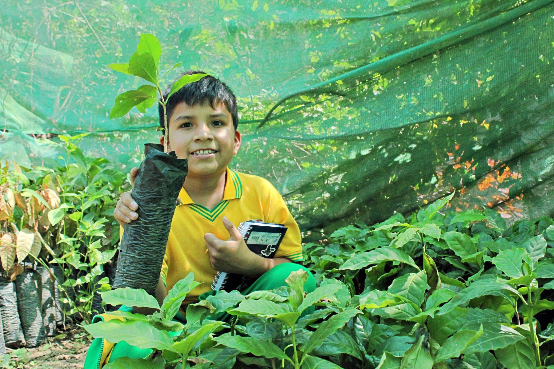 Nicolás Rodríguez es un estudiante de 9 años y brigadier de medio ambiente de su colegio en Canchaque, el impulsa la creación de huertos familiares para mejorar la alimentación.