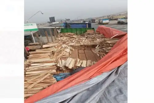 Los traficantes ocultan la verdadera especie de madera confundiéndola con otra de menor calidad y costo.