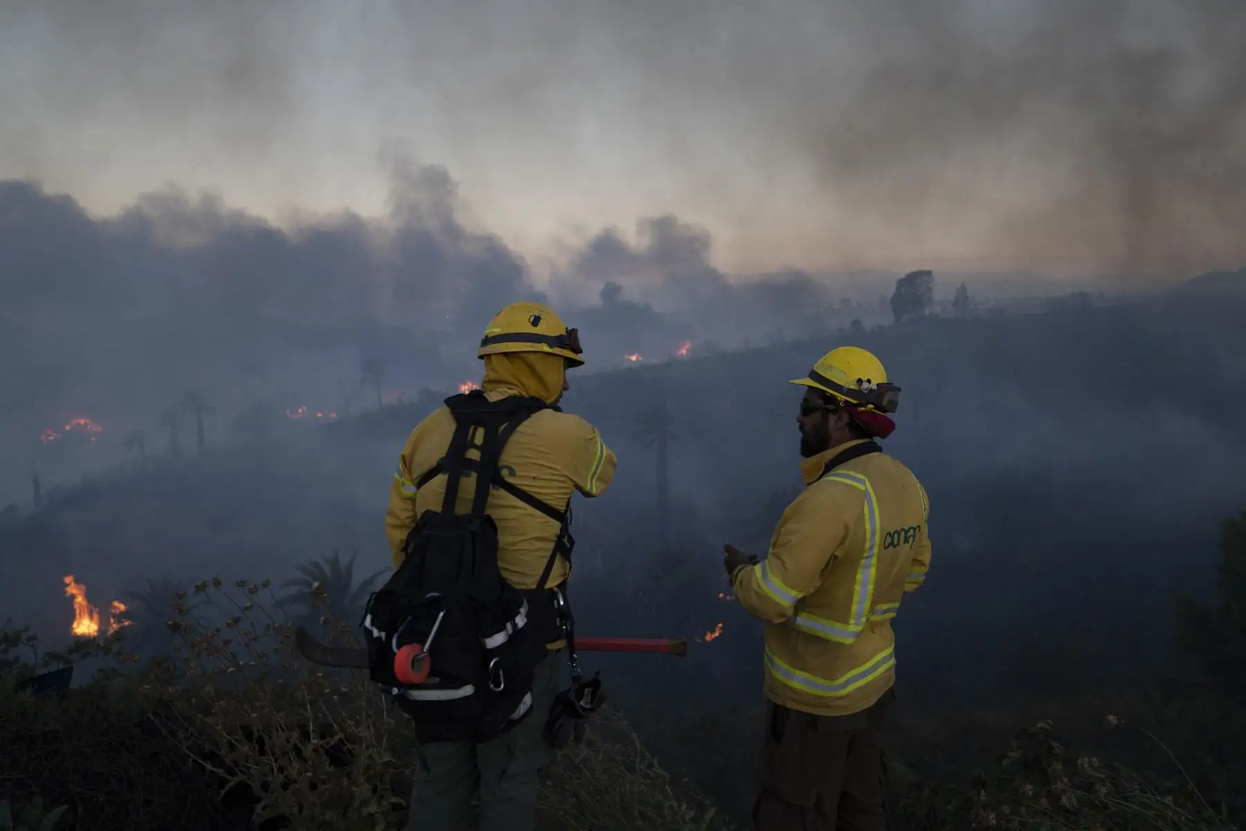 Personal de CONAF trabajan en contener un incendio hoy, en el cerro Forestal de Viña del Mar, Chile. La Corporación Nacional Forestal (Conaf) informa que el fuego ha consumido 15 hectáreas.
Foto: EFE