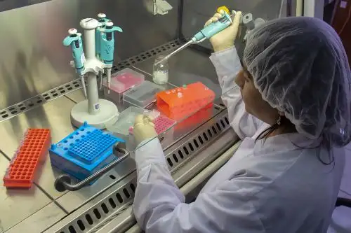 Investigación es desarrollada por la Universidad Nacional Santiago Antúnez de Mayolo y financiada por el Concytec.