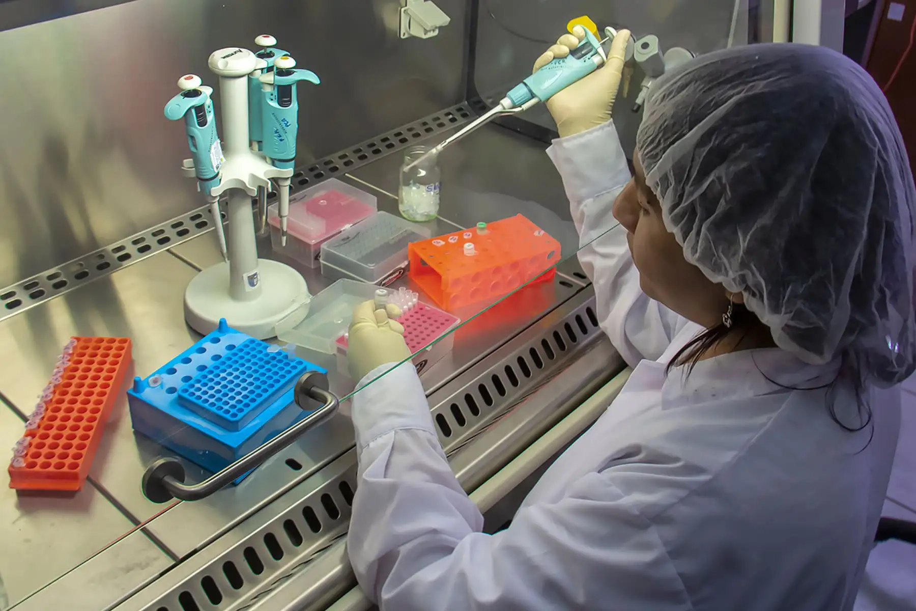 Investigación es desarrollada por la Universidad Nacional Santiago Antúnez de Mayolo y financiada por el Concytec.
