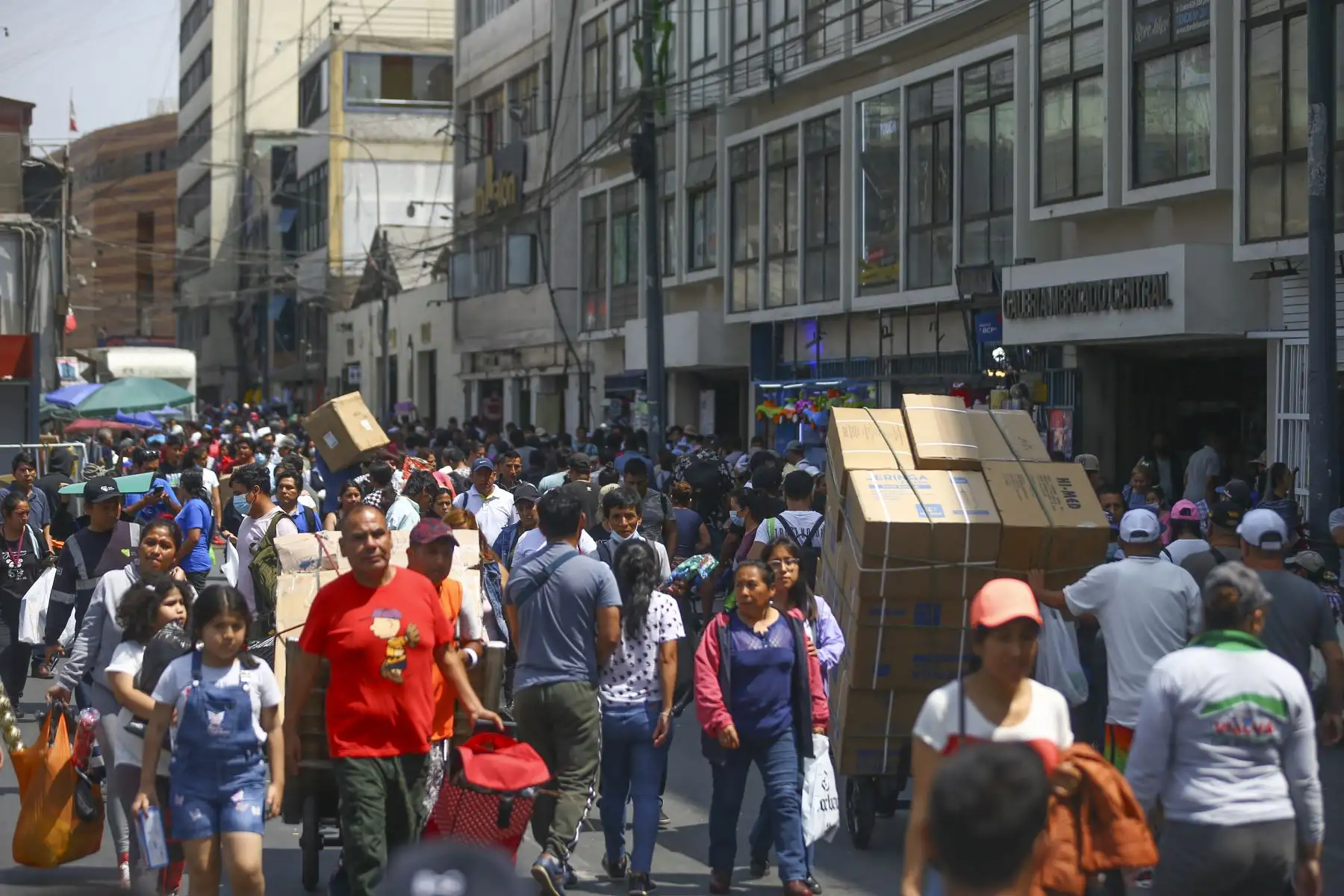 A pocas horas de la Navidad, así luce el Mercado Central, hasta donde llegan cientos de personas para realizar sus compras navideñas y de fin de año.
Foto: ANDINA/Ricardo Cuba