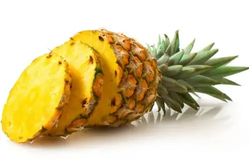 La piña es rica en vitaminas A y C, que son potentes antioxidantes; así como del complejo B, como la B1 o tiamina, B6 o piridoxina, B9 o ácido fólico, que son esenciales para el buen funcionamiento del sistema digestivo, nervioso, óseo, muscular, circulatorio y respiratorio.